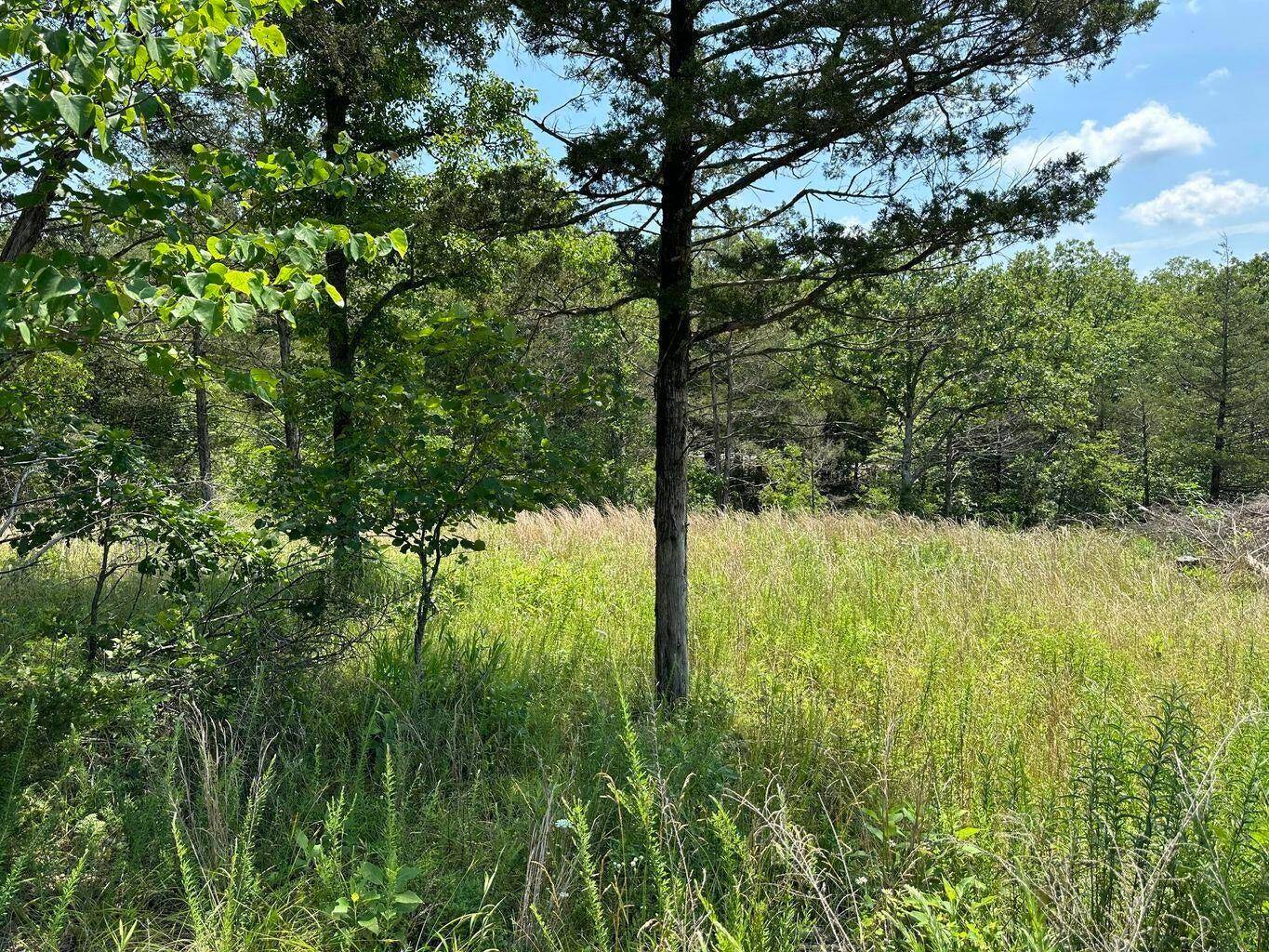 Lot 12 Tribute Falls, Cassville, MO 65625
