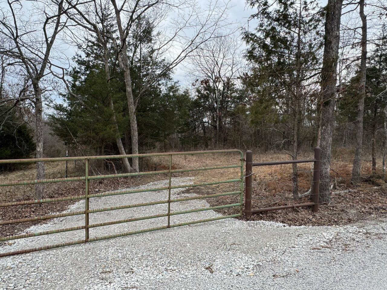 85-Ac Burmingham Road, Forsyth, MO 65653