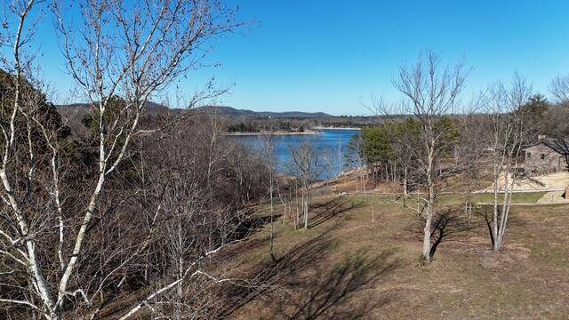 22236 Evergreen CT, Golden, MO 65658