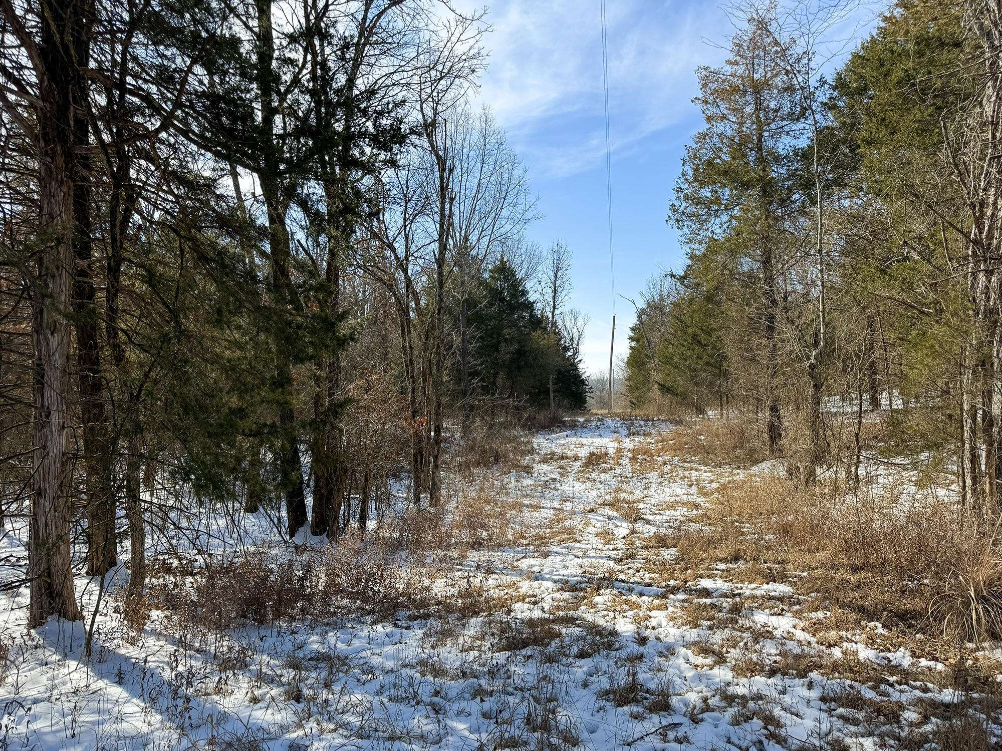 000 E 562nd RD, Brighton, MO 65617