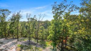 Lot 11 Wilshire BLVD, Pineville, MO 64856