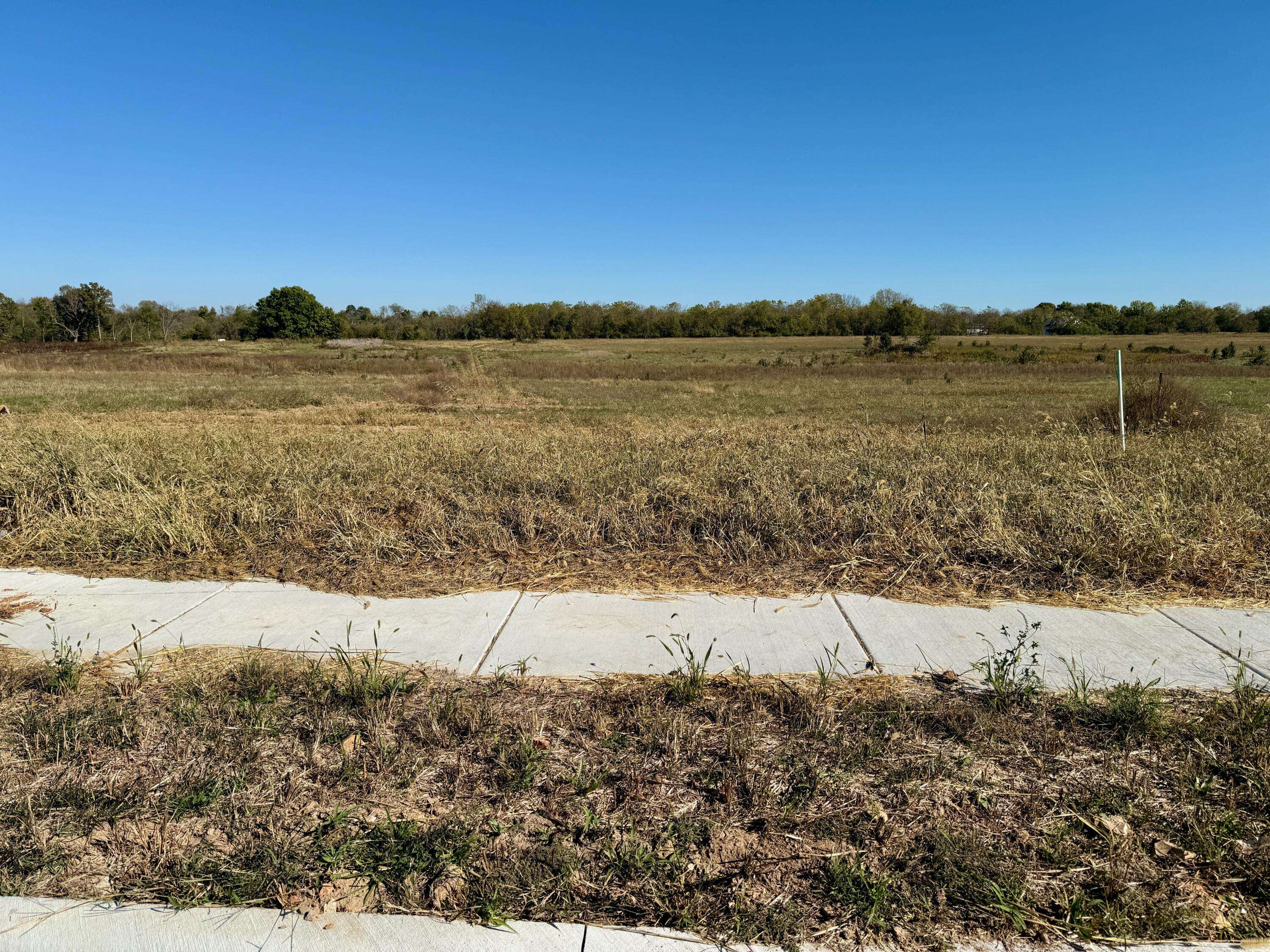 980 S Stonewall RD, Republic, MO 65738