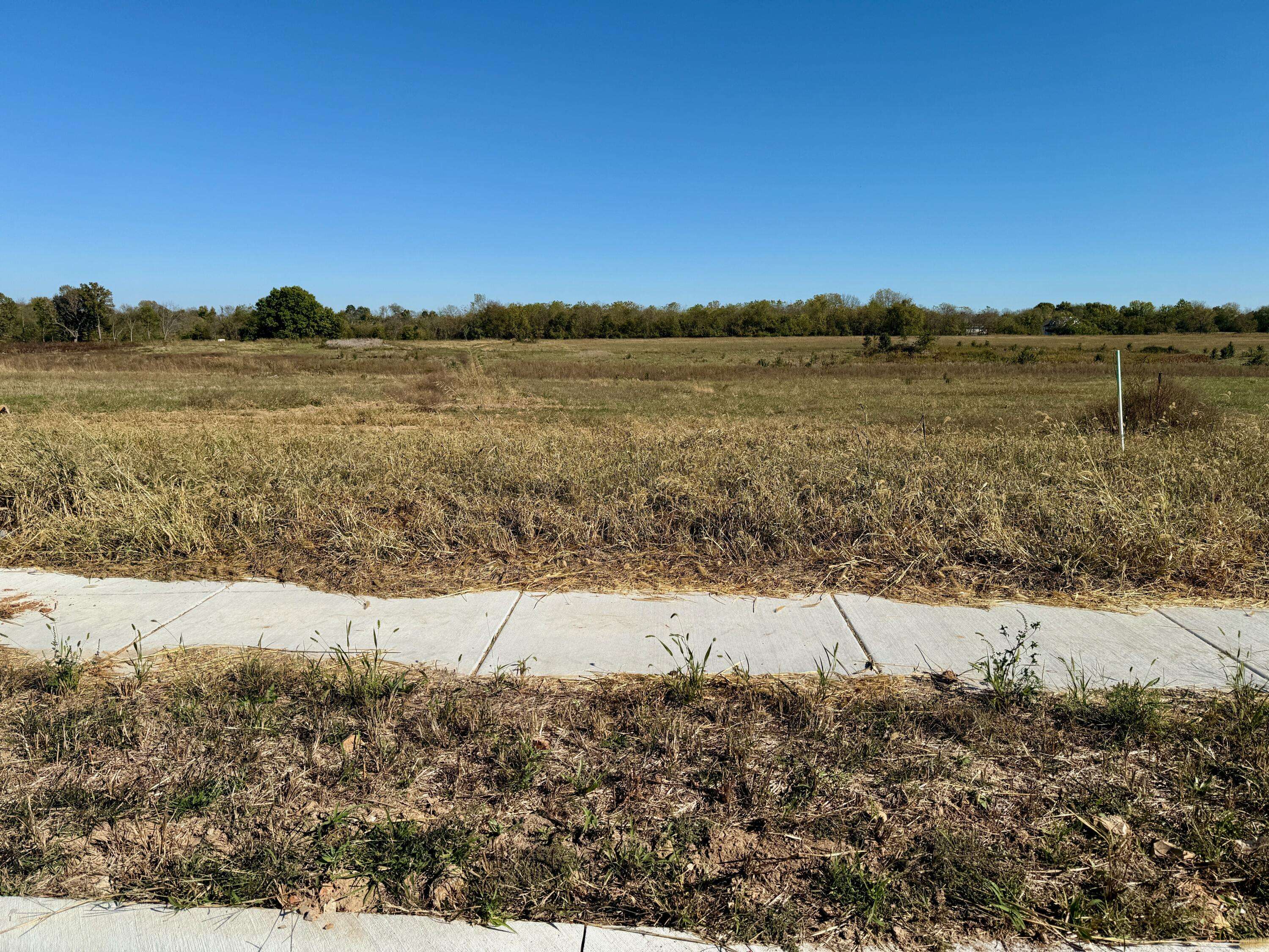 1106 S Antietam RD, Republic, MO 65738