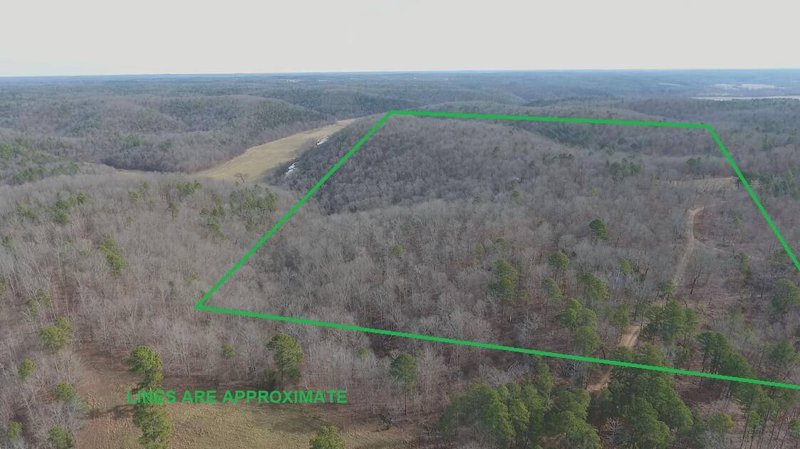 Address not disclosed, Birch Tree, MO 65438