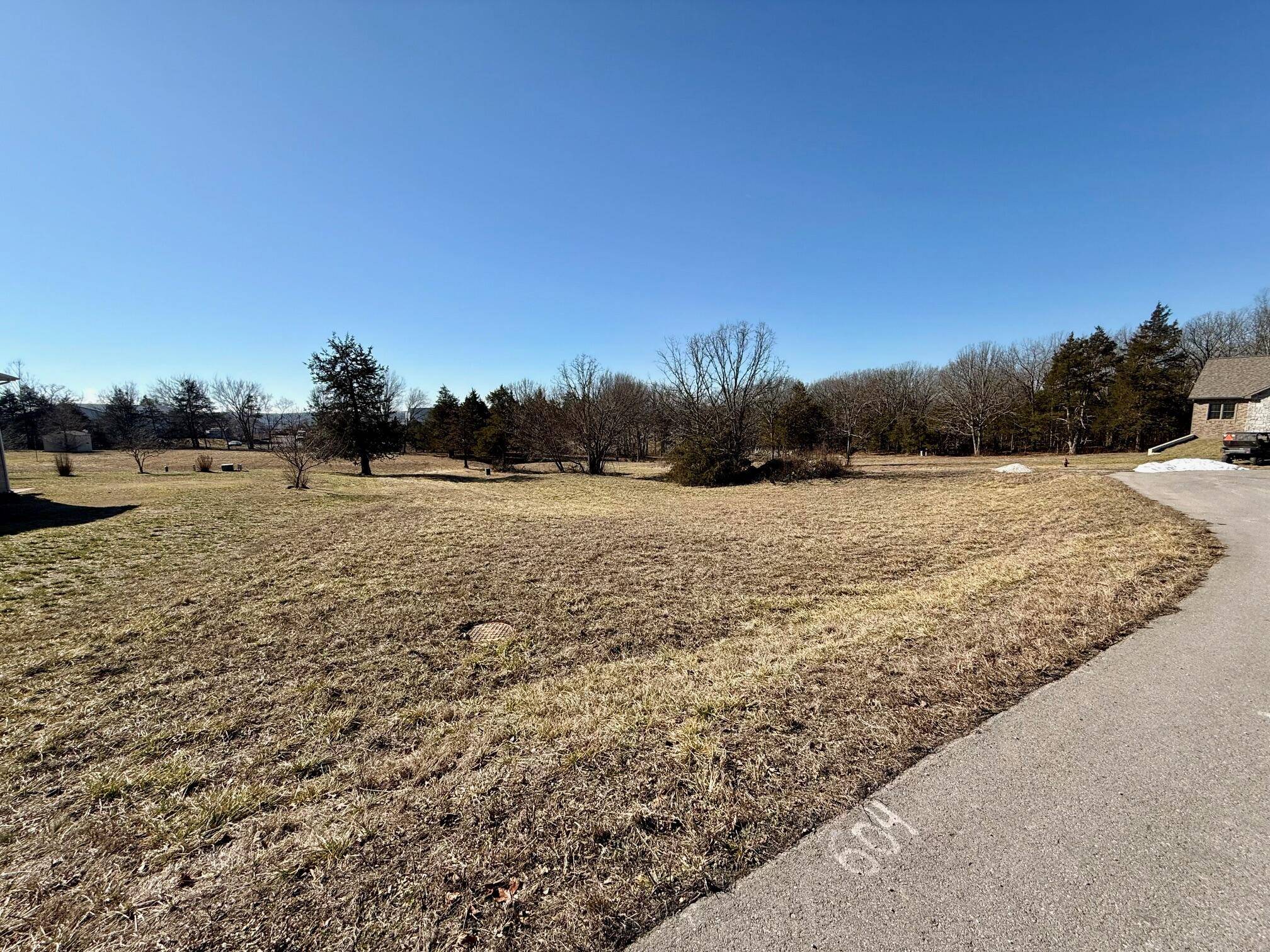 000 Primrose & Honeysuckle LN, Houston, MO 65483