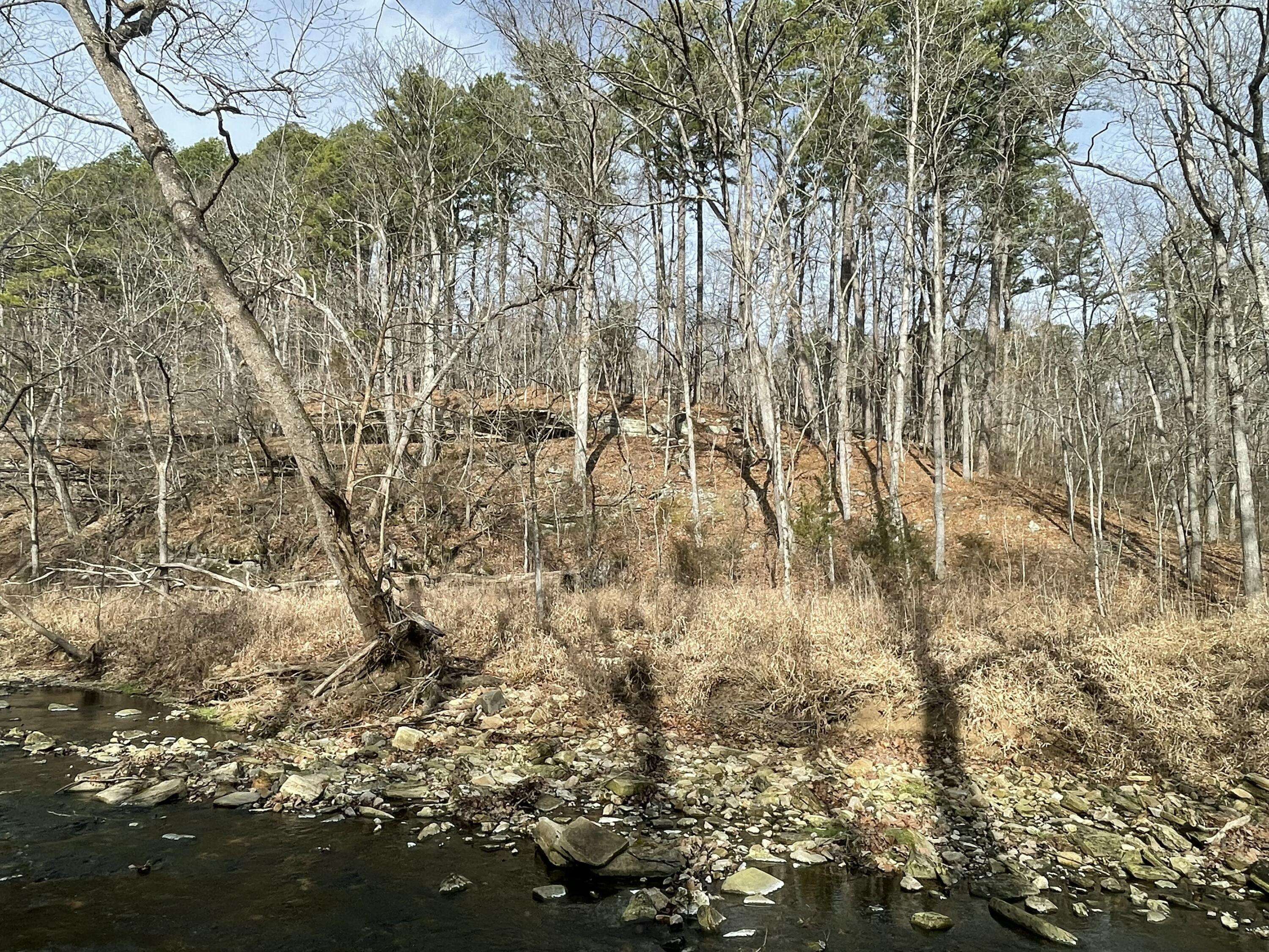 000 Forest DR, Houston, MO 65483