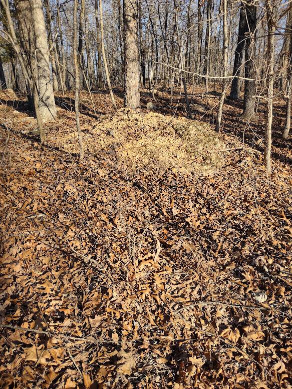 000 Moonshine Pass, Salem, MO 65560