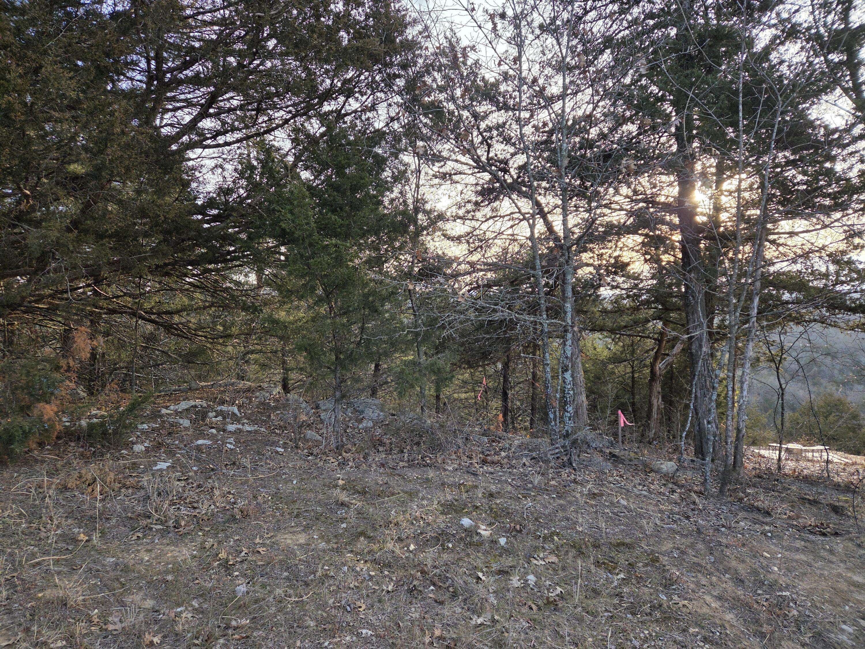 116 Black Forest Lane, Branson West, MO 65737