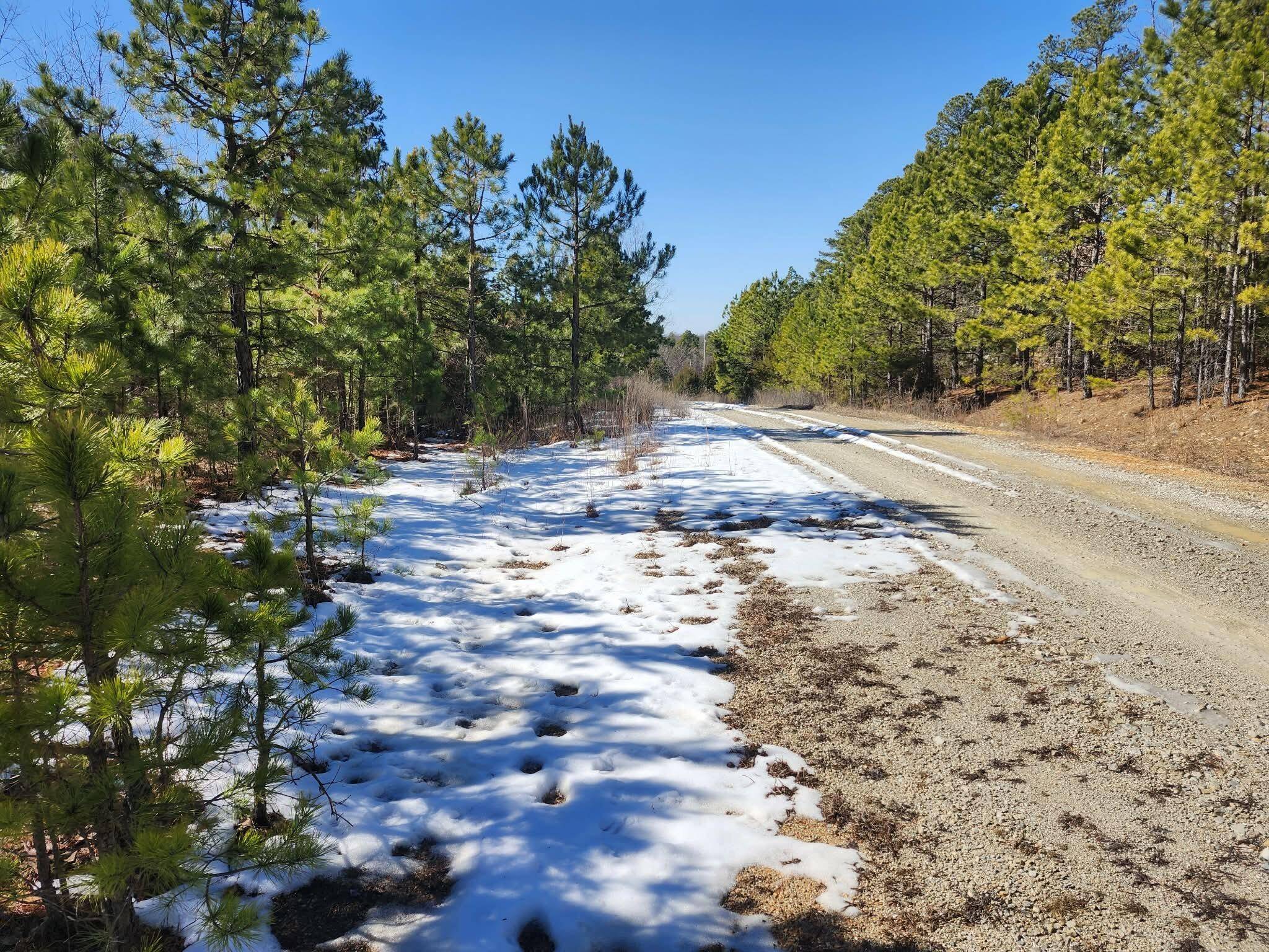 000 Sargent RD, Willow Springs, MO 65793