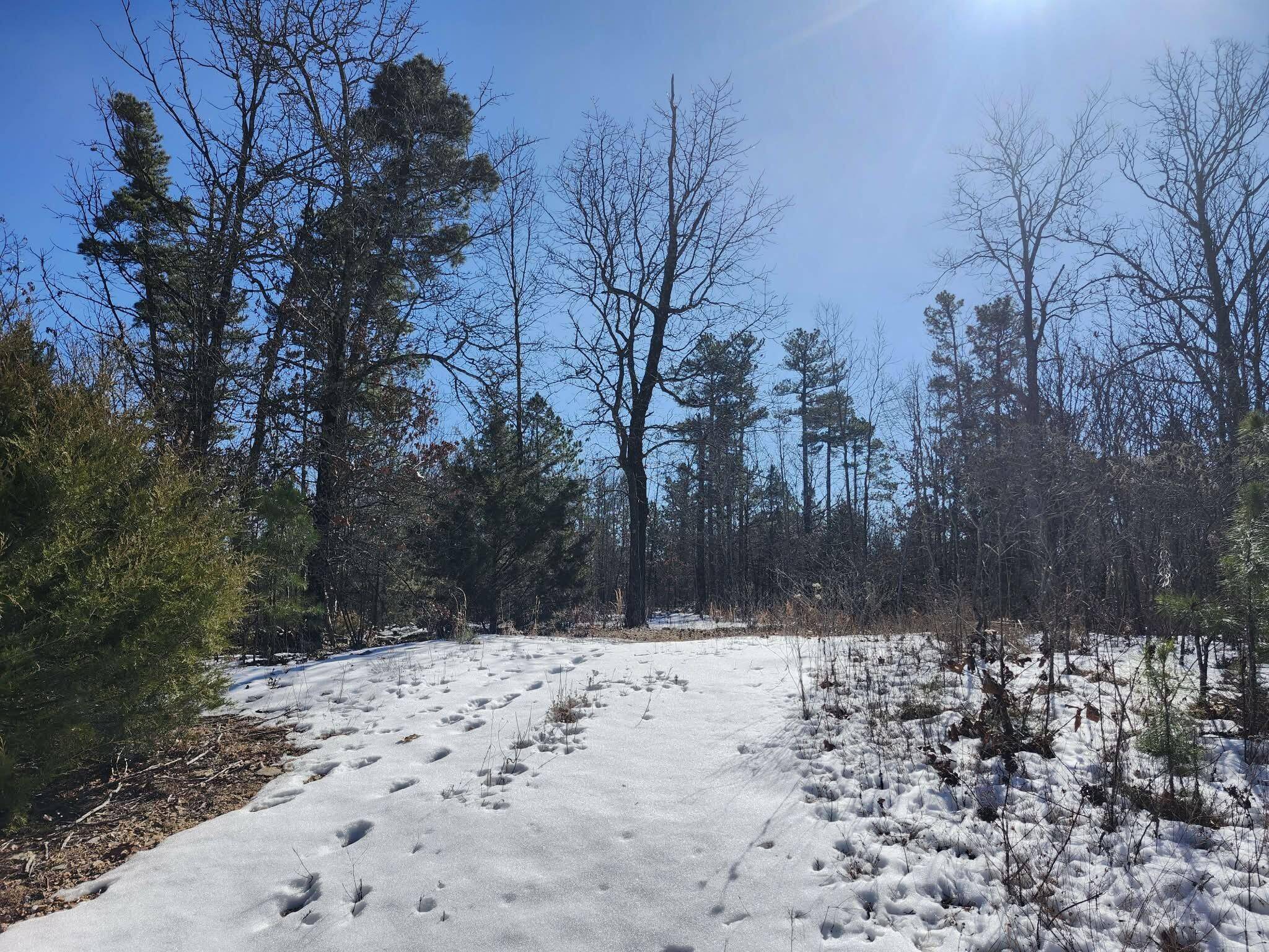 000 Sargent RD, Willow Springs, MO 65793