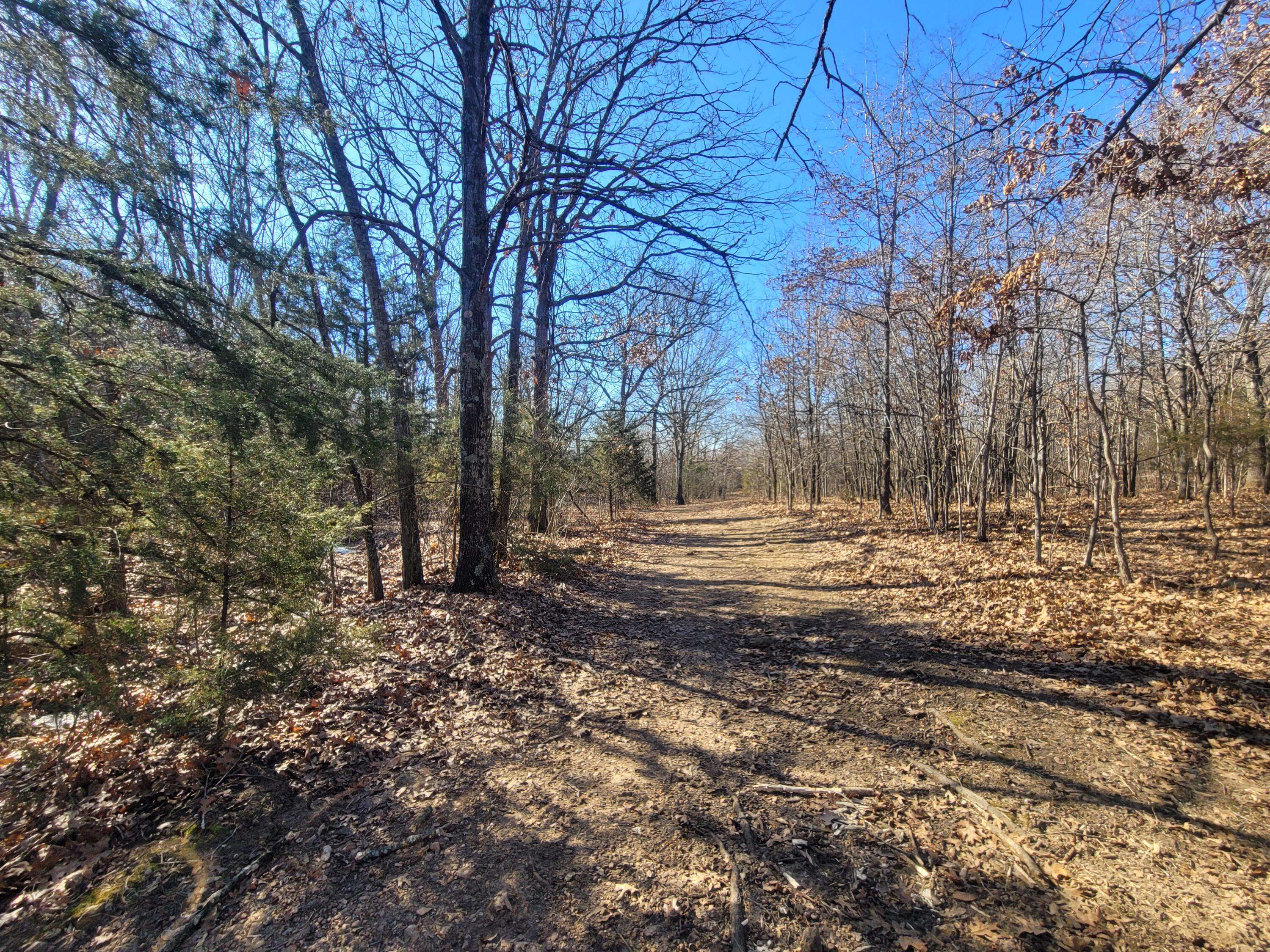 000 Hickory Flats RD, Ava, MO 65608