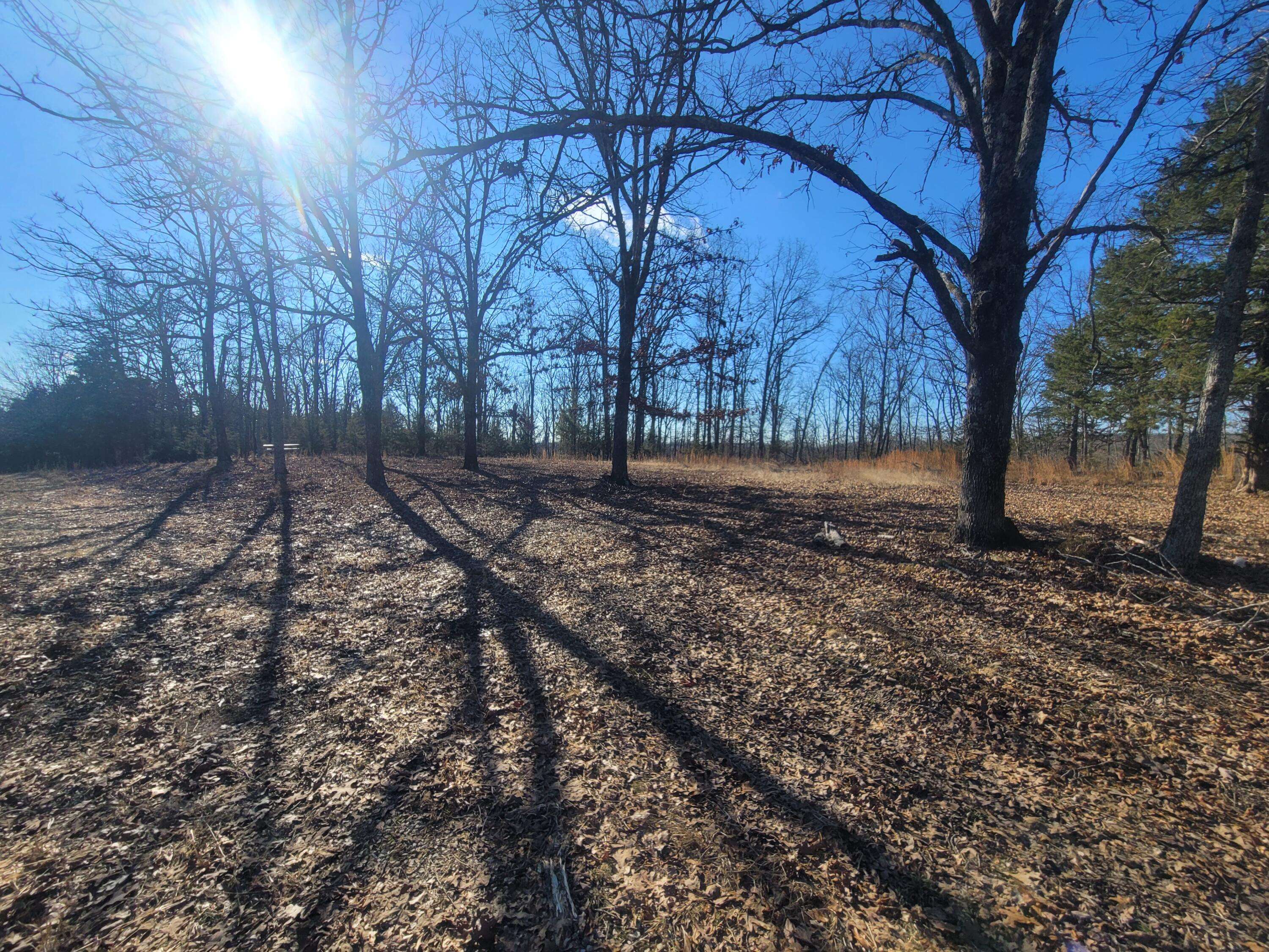 000 Hickory Flats RD, Ava, MO 65608