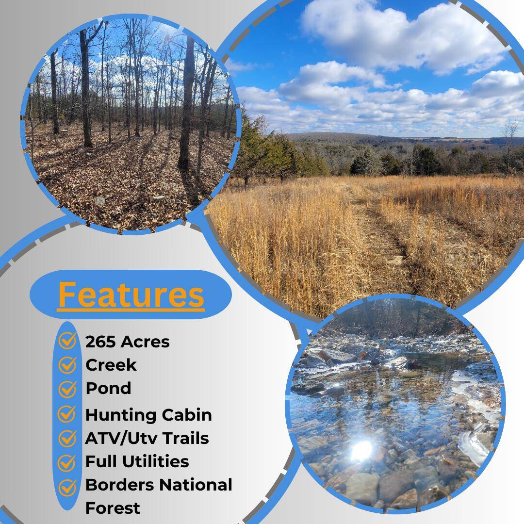 000 Hickory Flats RD, Ava, MO 65608