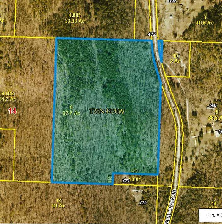 473 Blue Creek Road, Chadwick, MO 65629