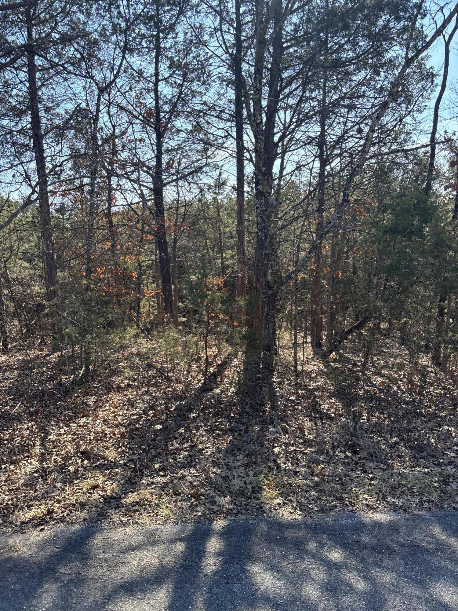 Tbd State Hwy Yy, Shell Knob, MO 65747