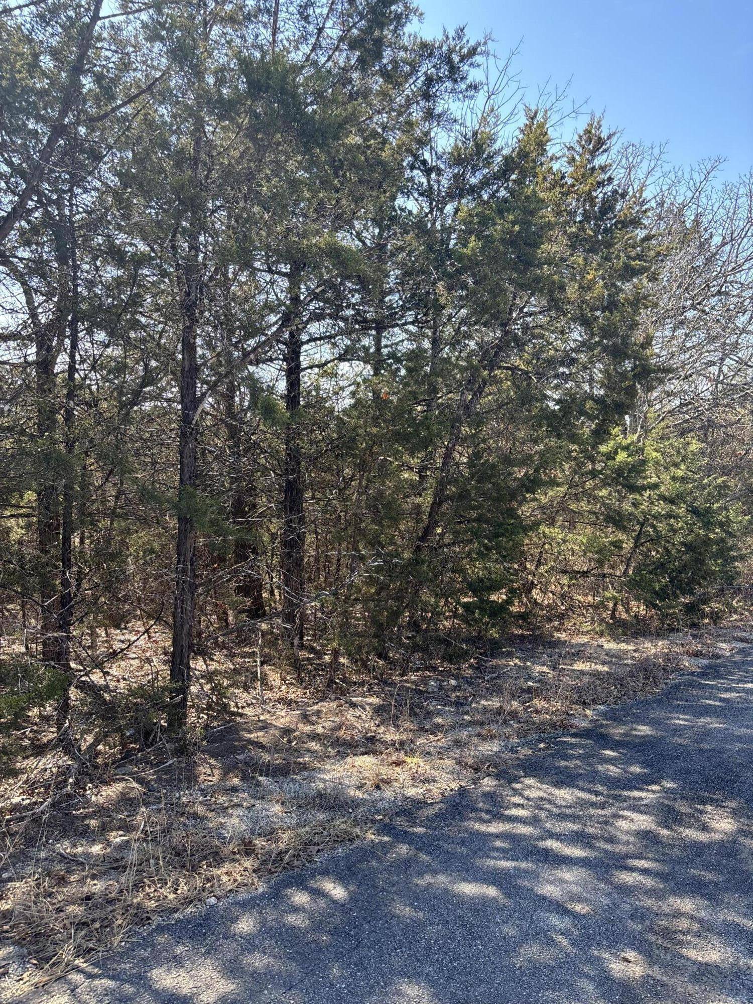 Tbd State Hwy Yy, Shell Knob, MO 65747