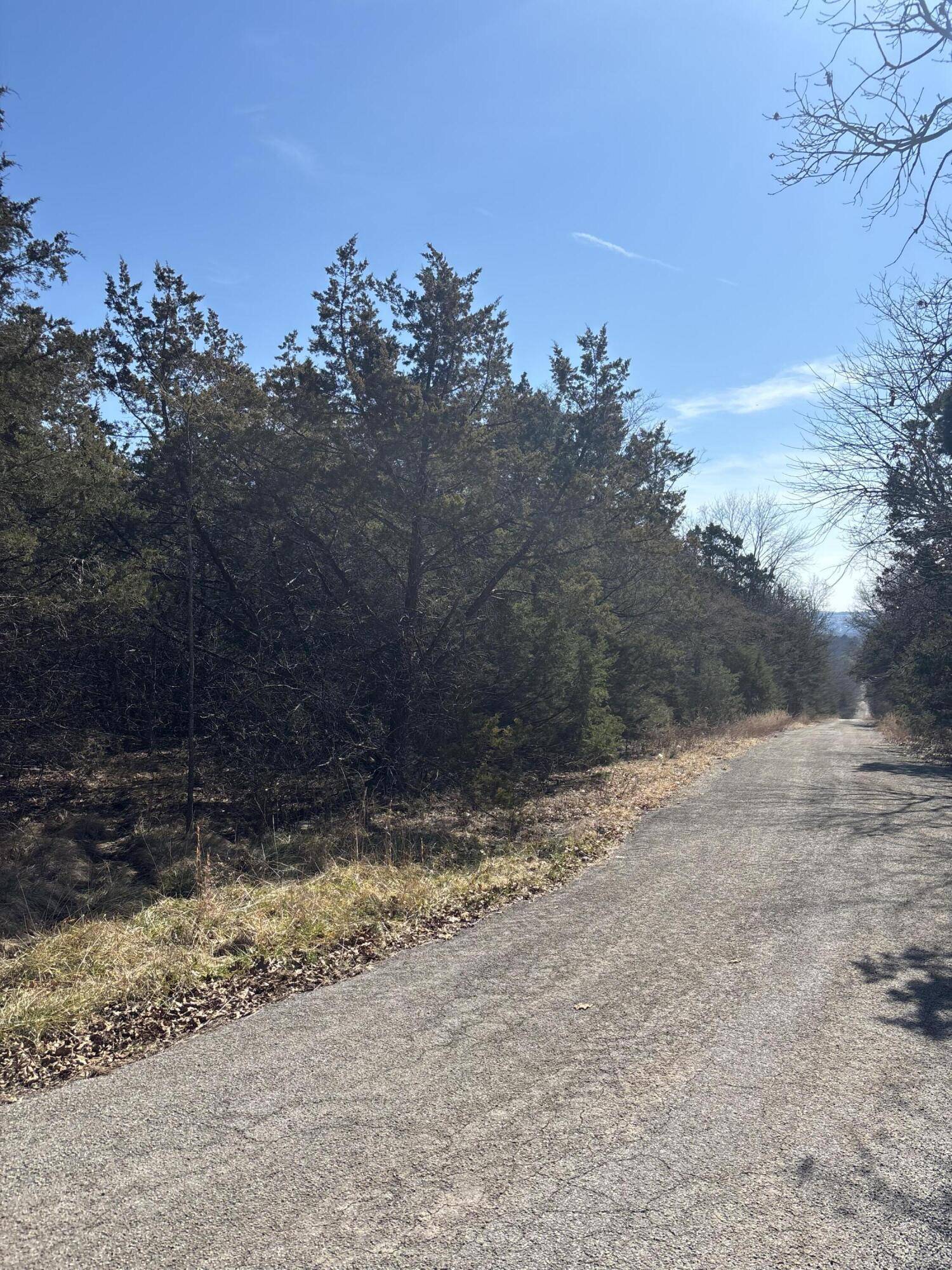 Tbd State Hwy Yy, Shell Knob, MO 65747