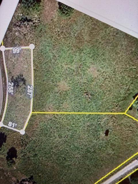 Lots31/32 Bear Den Cove, Galena, MO 65656