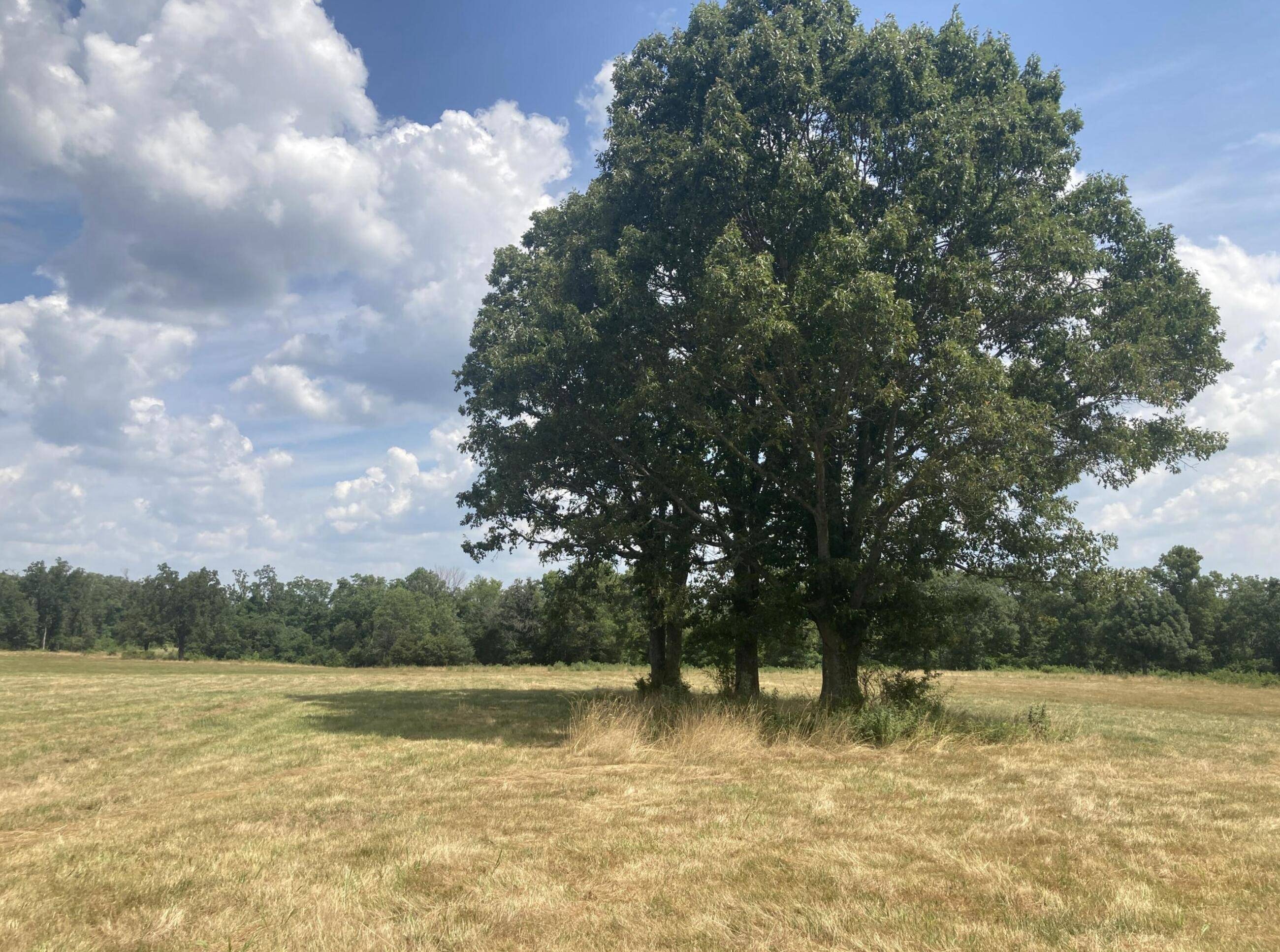 3249 Clark LN, Mansfield, MO 65704