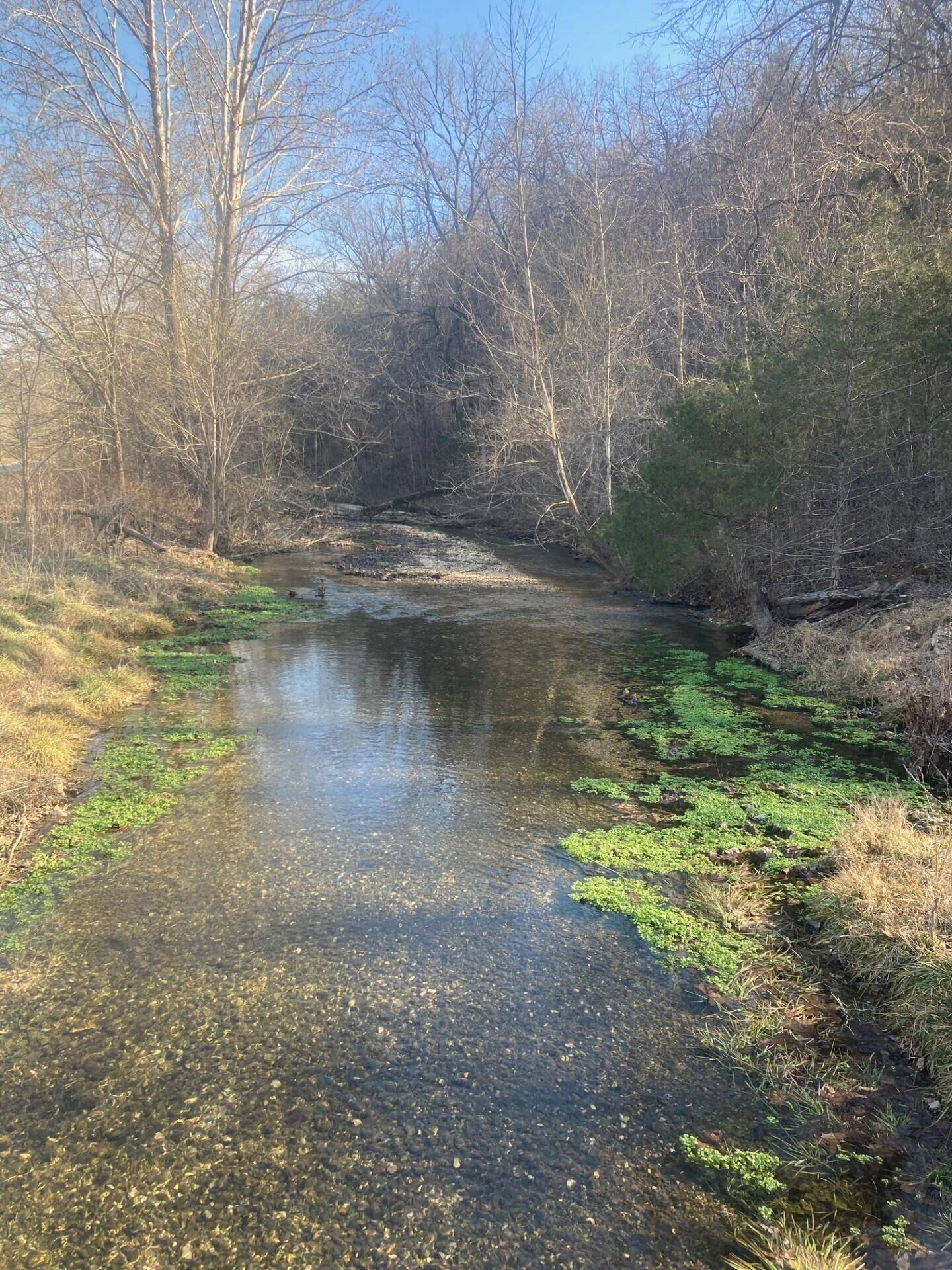 000 Reno Springs RD, Branson, MO 65616