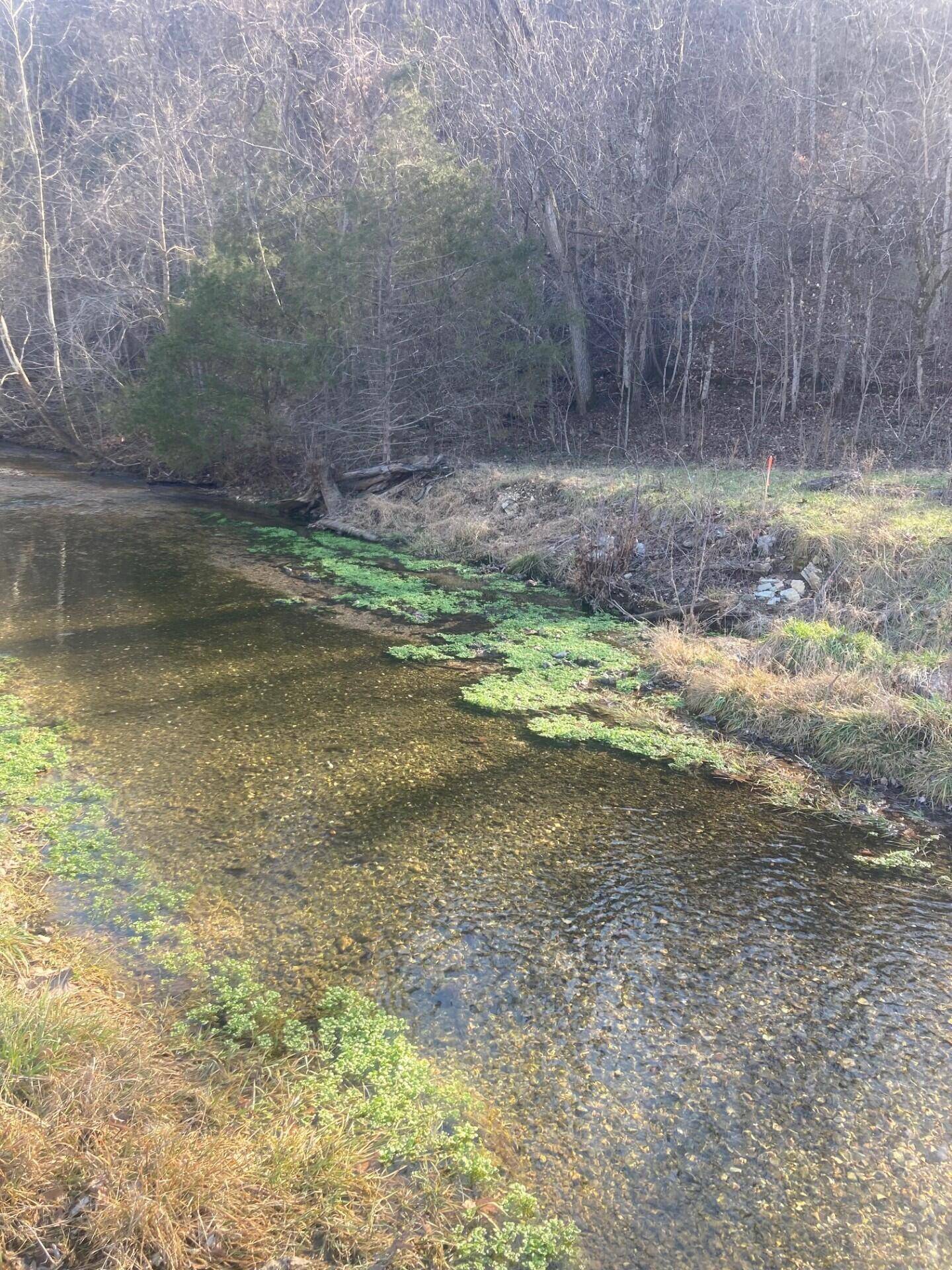 000 Reno Springs RD, Branson, MO 65616