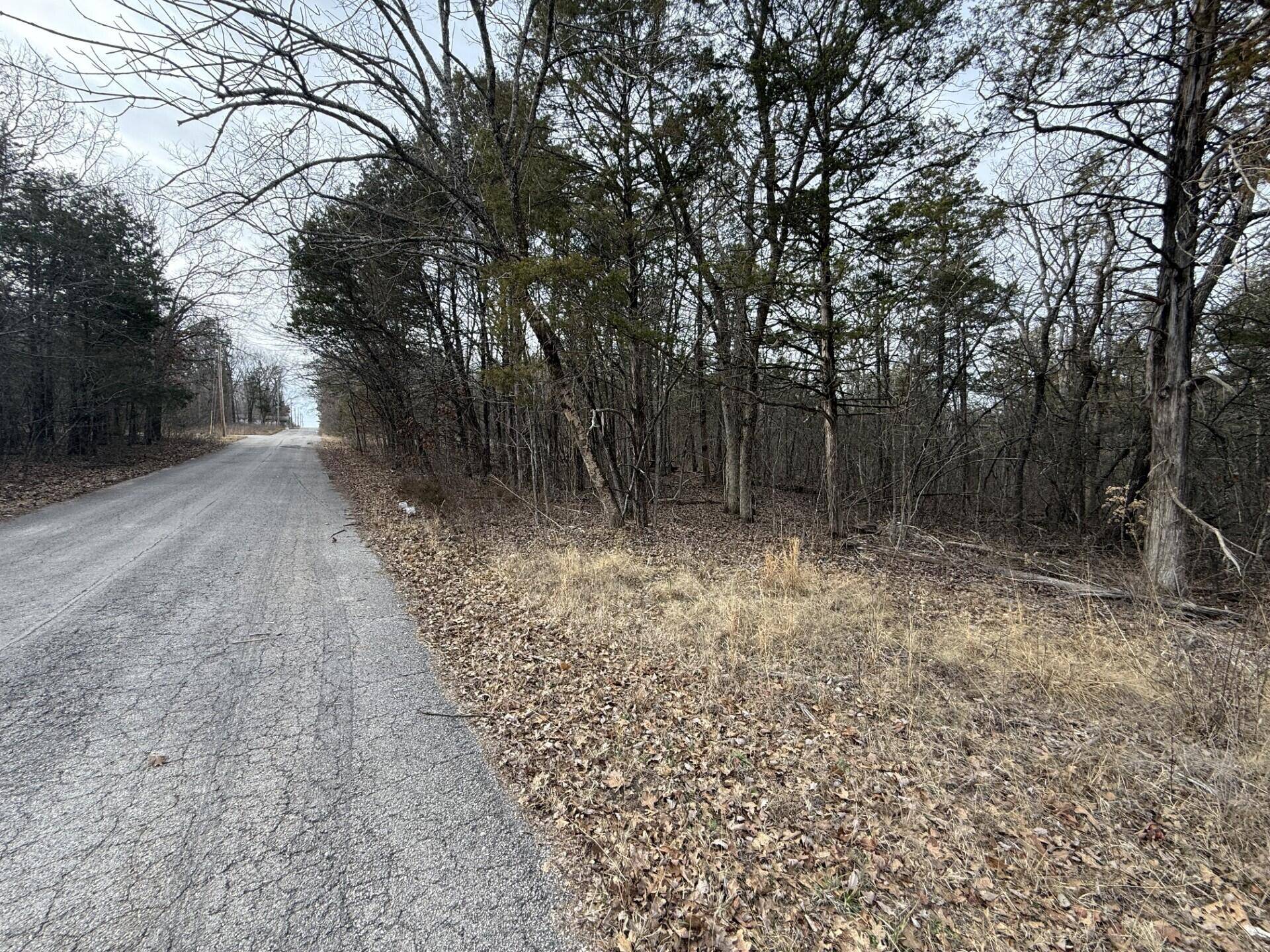 130, 131 Turkey Mountain Estates #2, Shell Knob, MO 65747