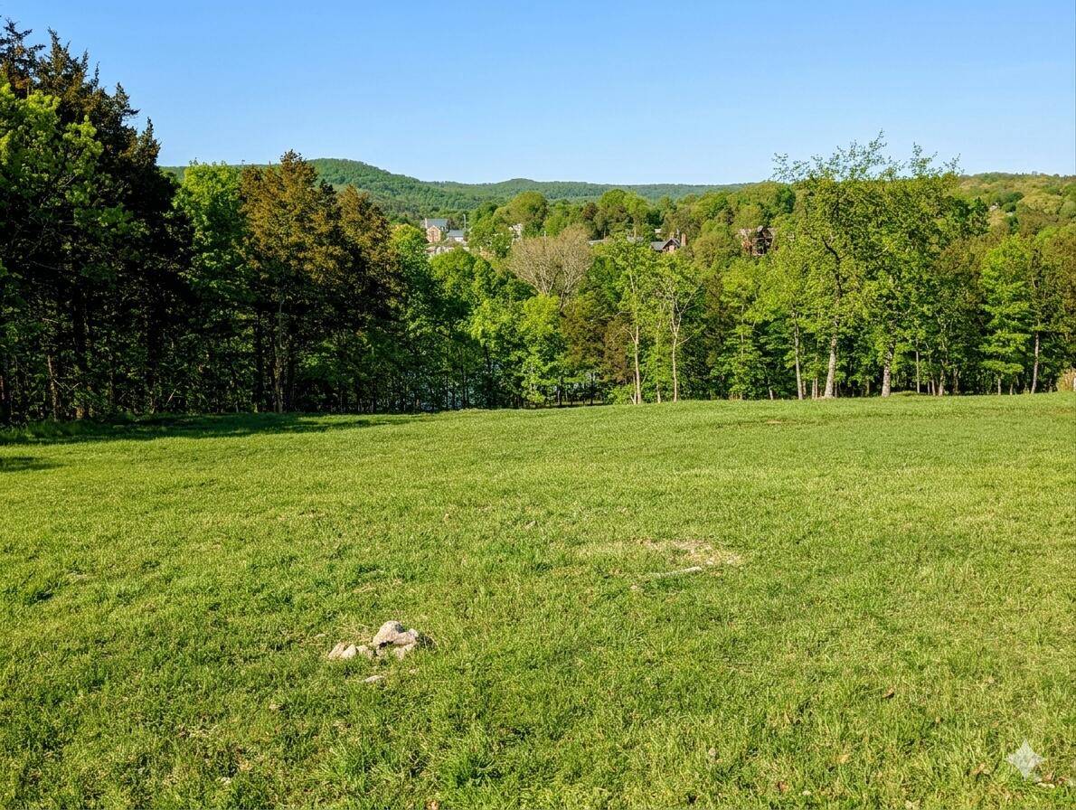 11 Tall Cedar LN, Reeds Spring, MO 65737
