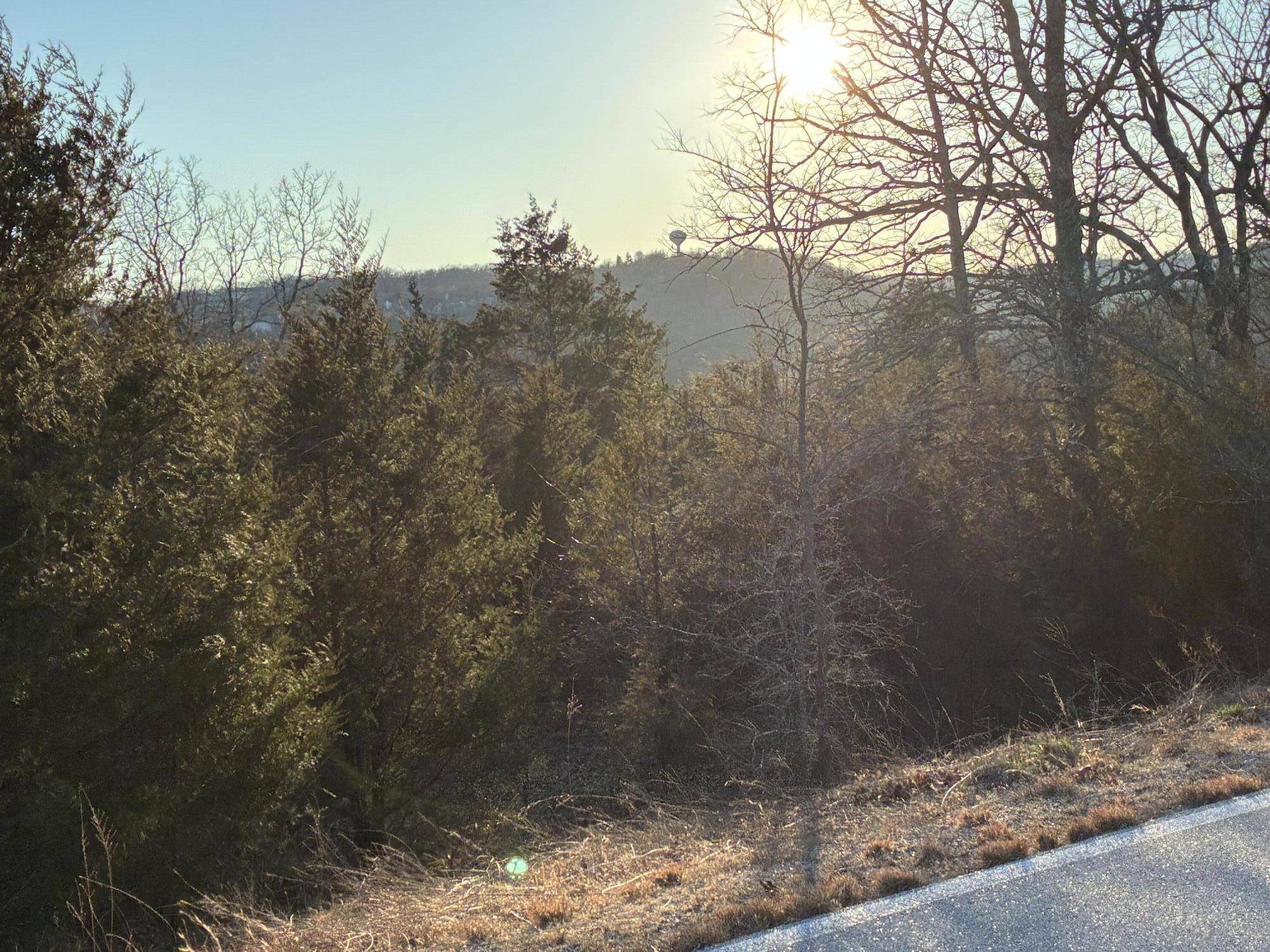 Lot 24 Limestone DR, Branson West, MO 65737