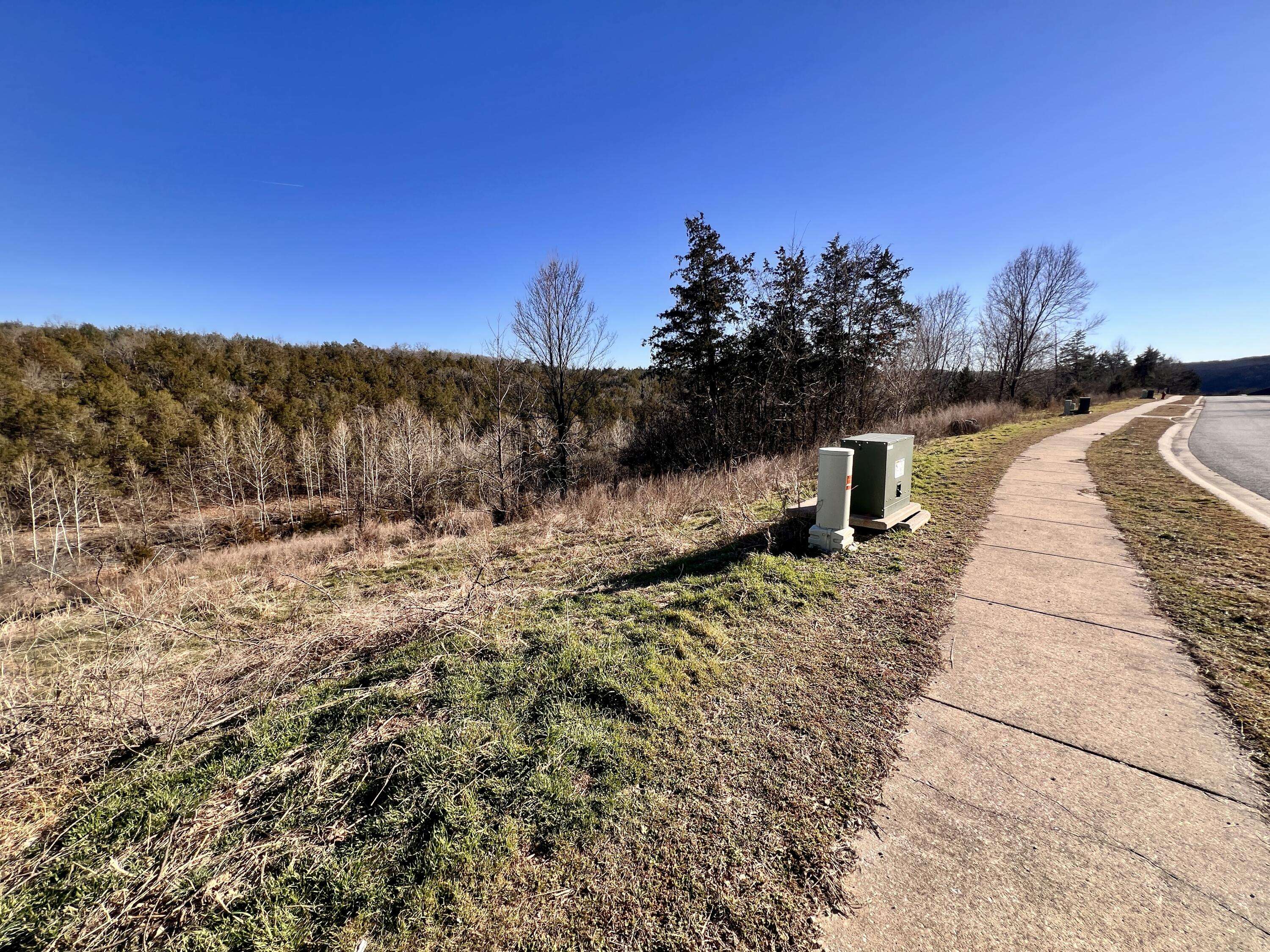 121 Jury LN, Branson, MO 65616