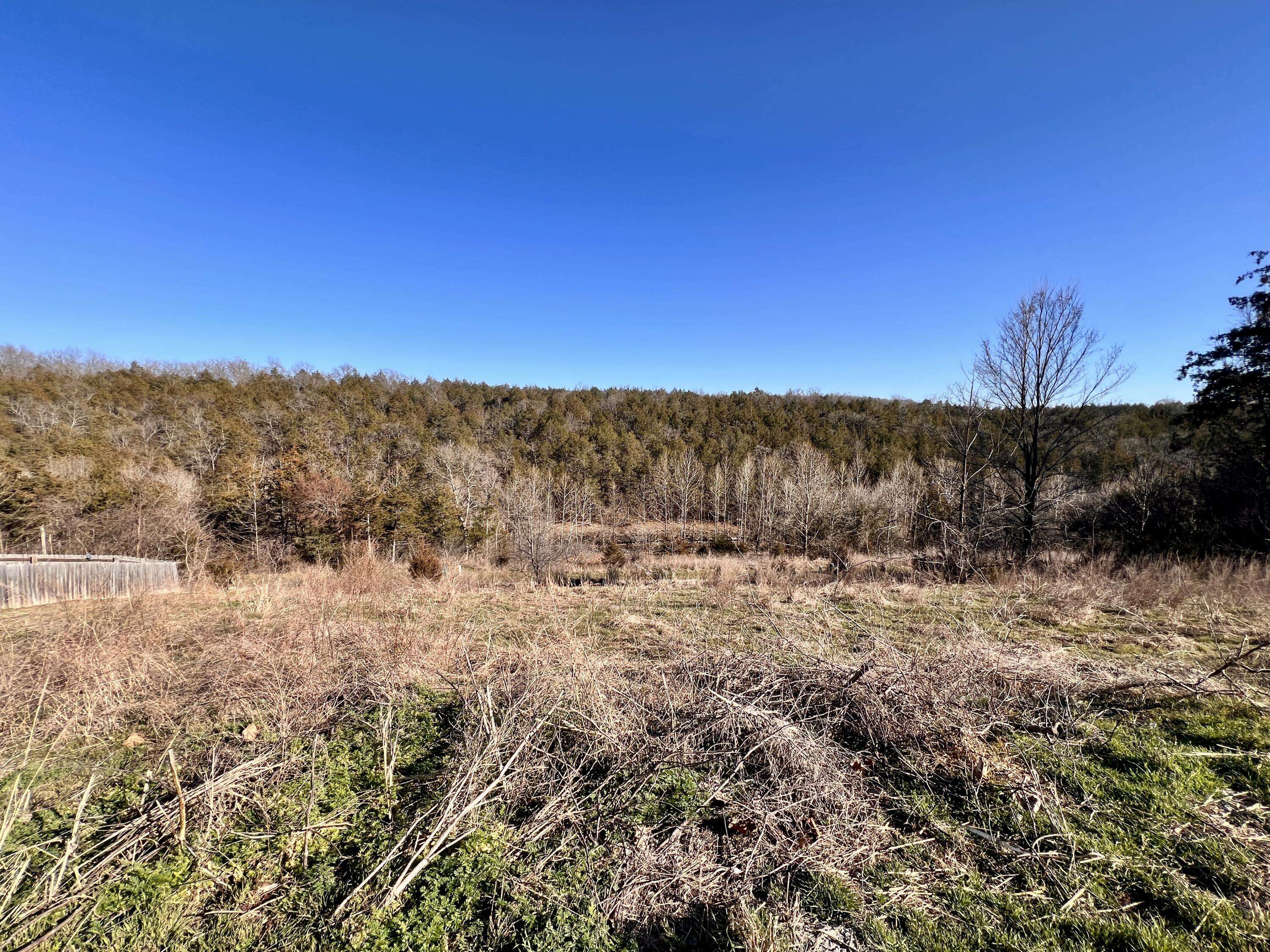 121 Jury LN, Branson, MO 65616