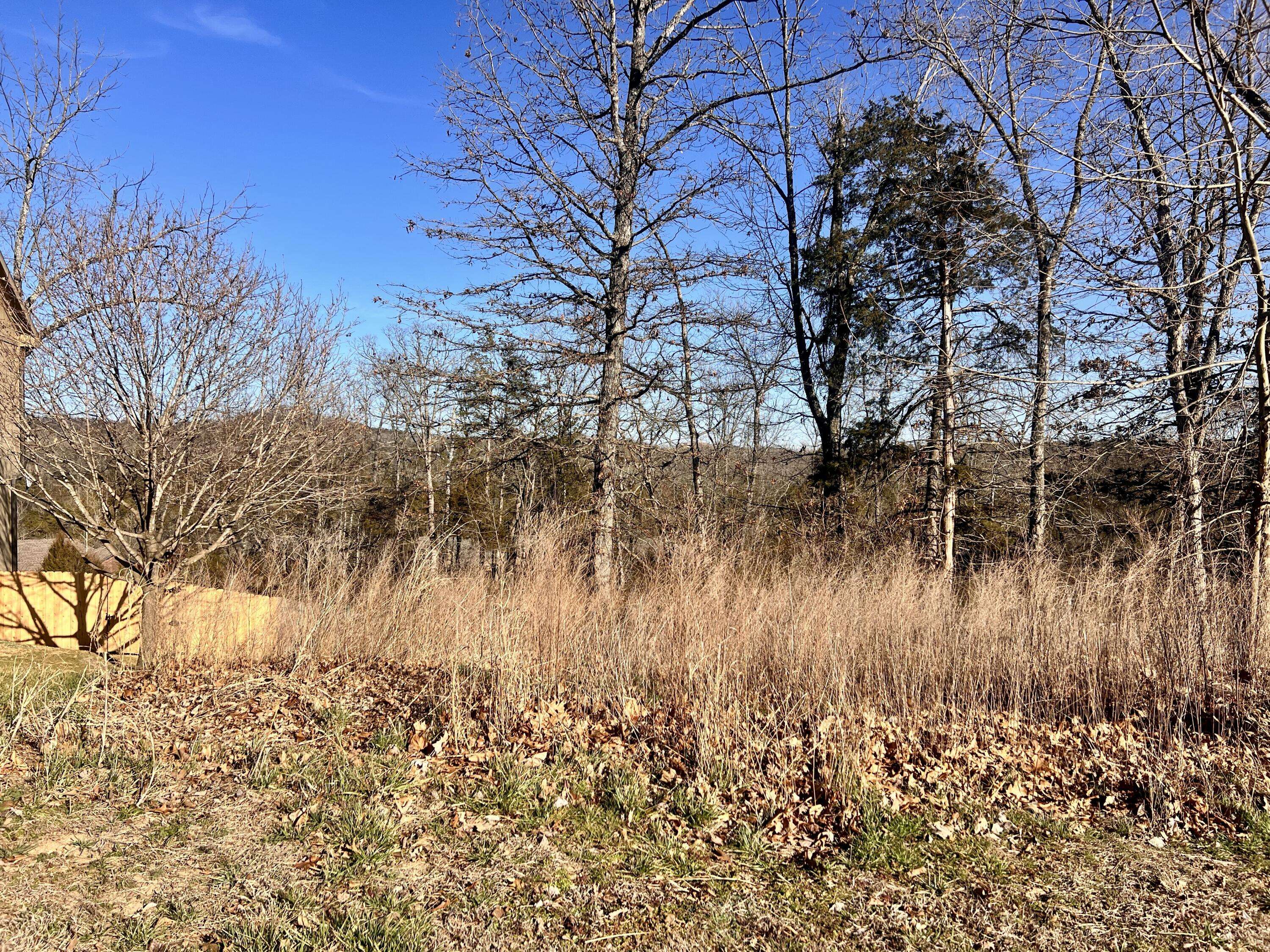 186 Country Ridge WAY, Branson, MO 65616