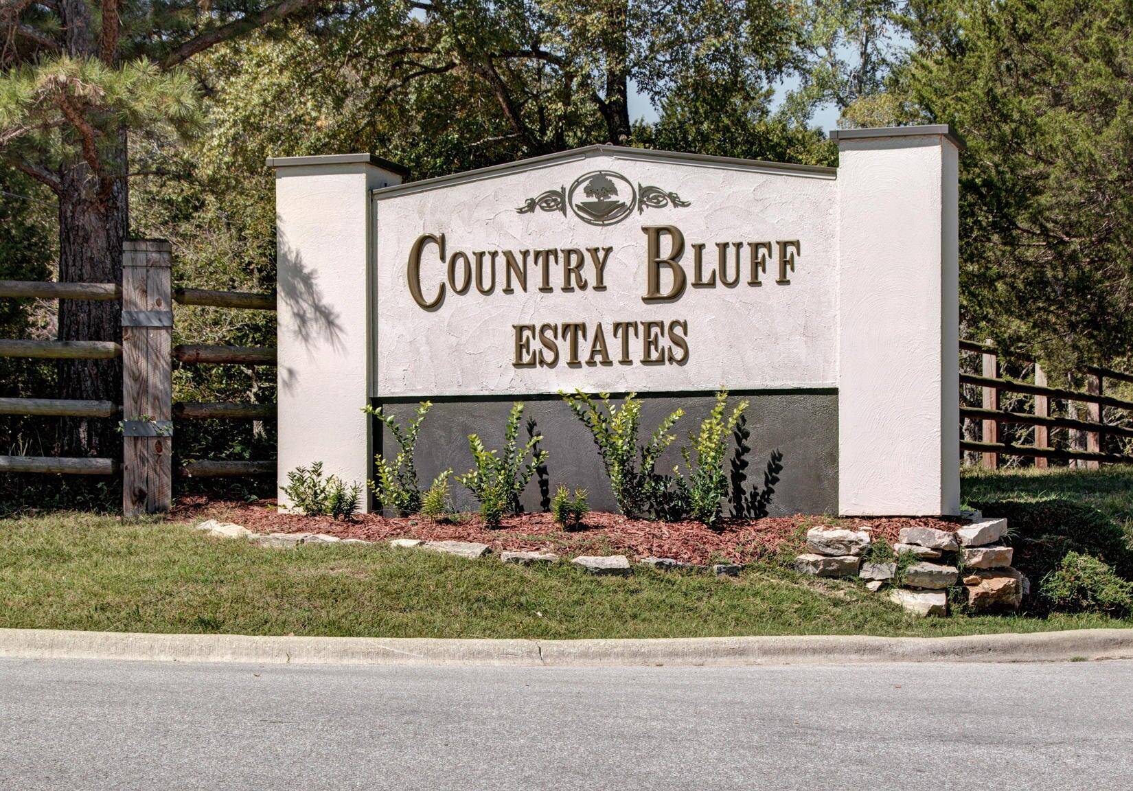 117 Country Bluff DR, Branson, MO 65616