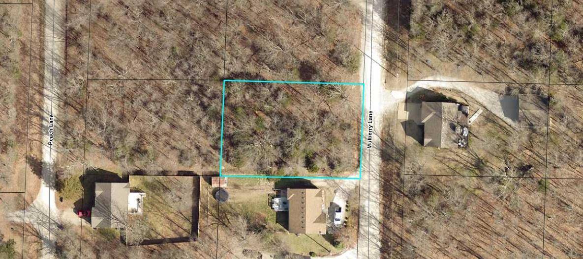 Lot 6 Mulberry LN, Ridgedale, MO 65739
