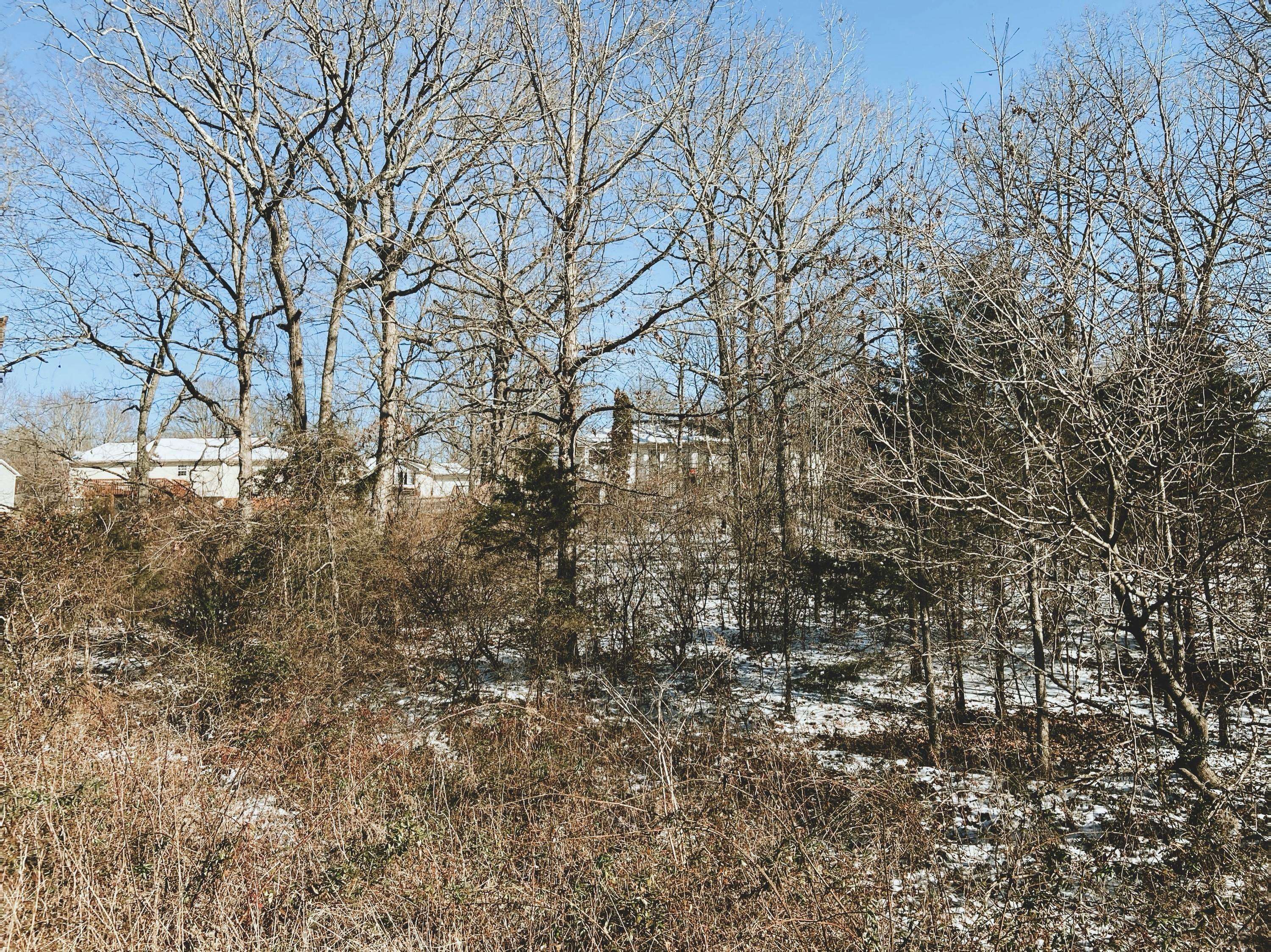 000 Ginger Drive Lot 11, West Plains, MO 65775