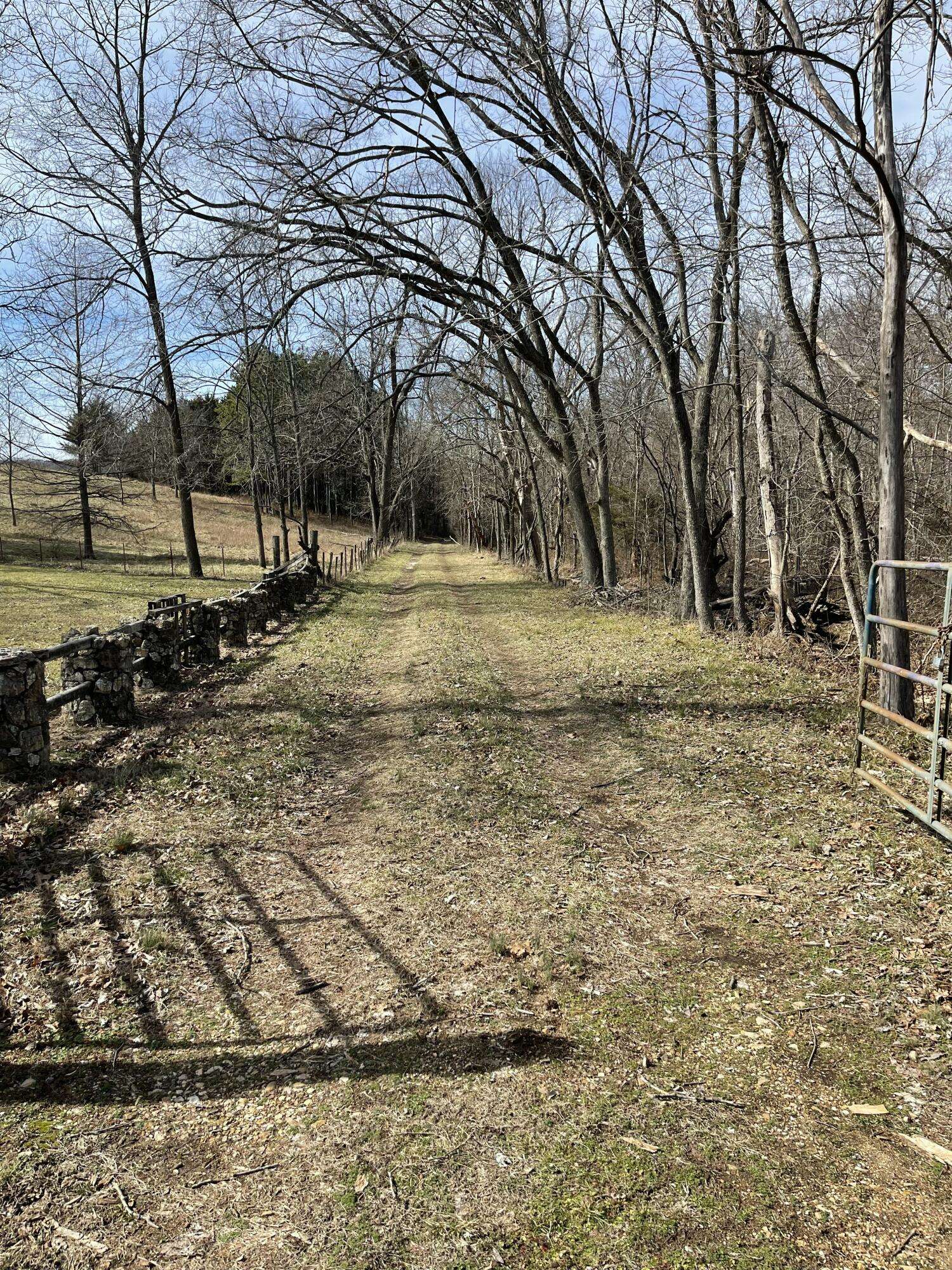 Tract 1 County Road 14-534, Ava, MO 65608