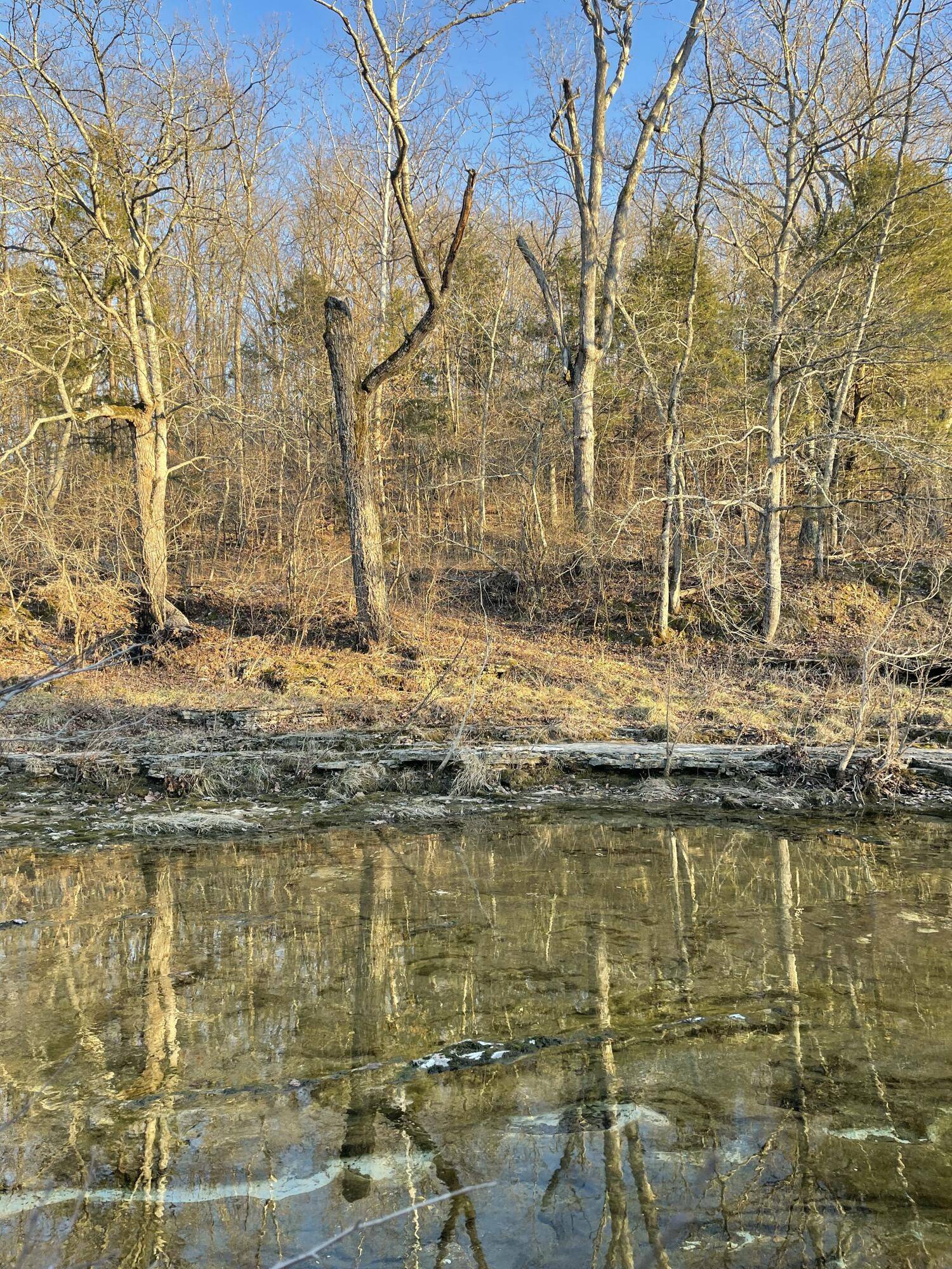 Tract 2 County Road 14-534, Ava, MO 65608