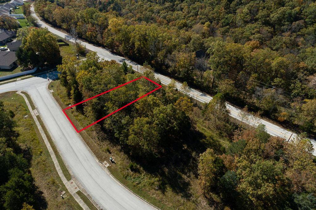 Lot 3 Redwine AVE, Branson, MO 65616