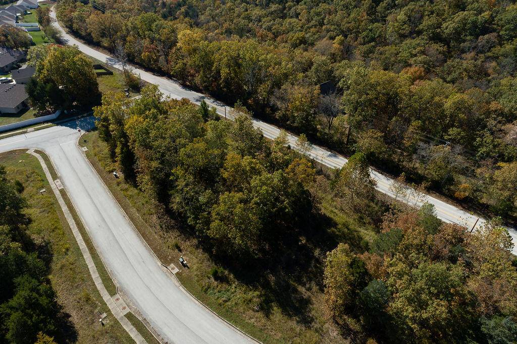 Lot 5 Redwine AVE, Branson, MO 65616