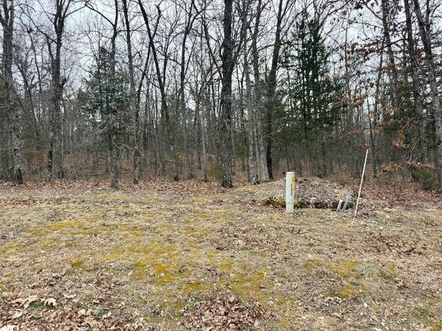 Lot 81 Green Cypress LN, Shell Knob, MO 65747