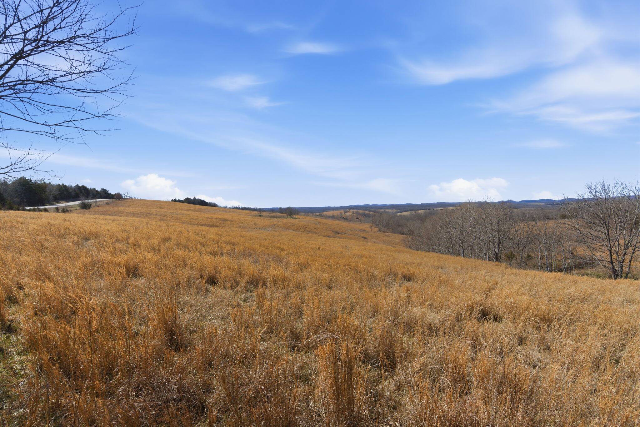 000 State Hwy Jj Tract 1, Thornfield, MO 65762