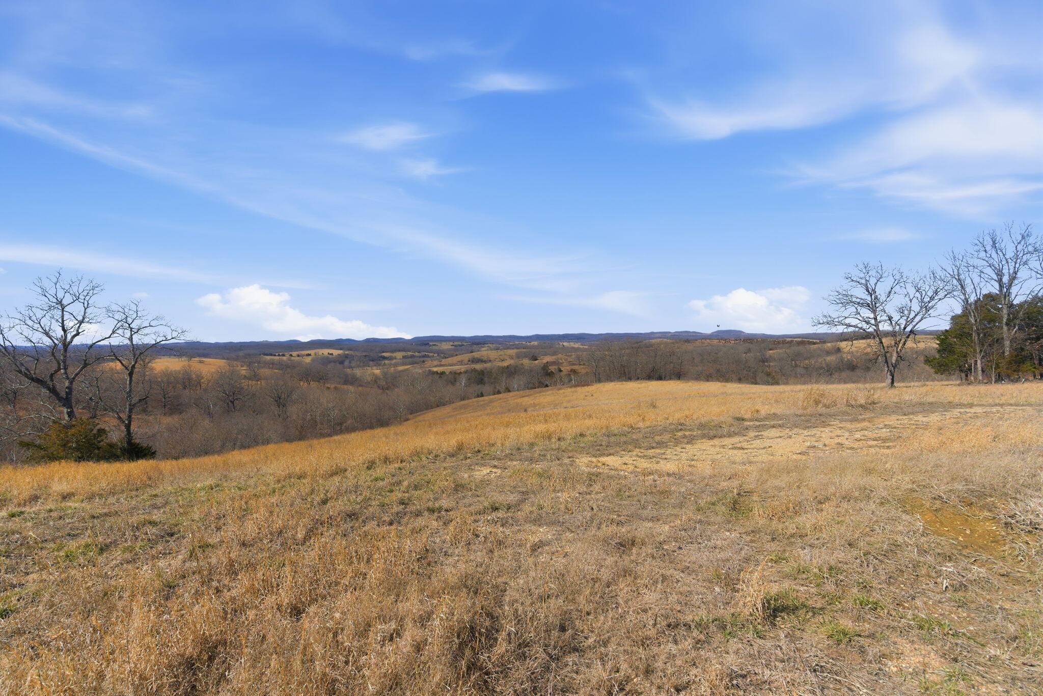 000 State Hwy Jj Tract 1, Thornfield, MO 65762
