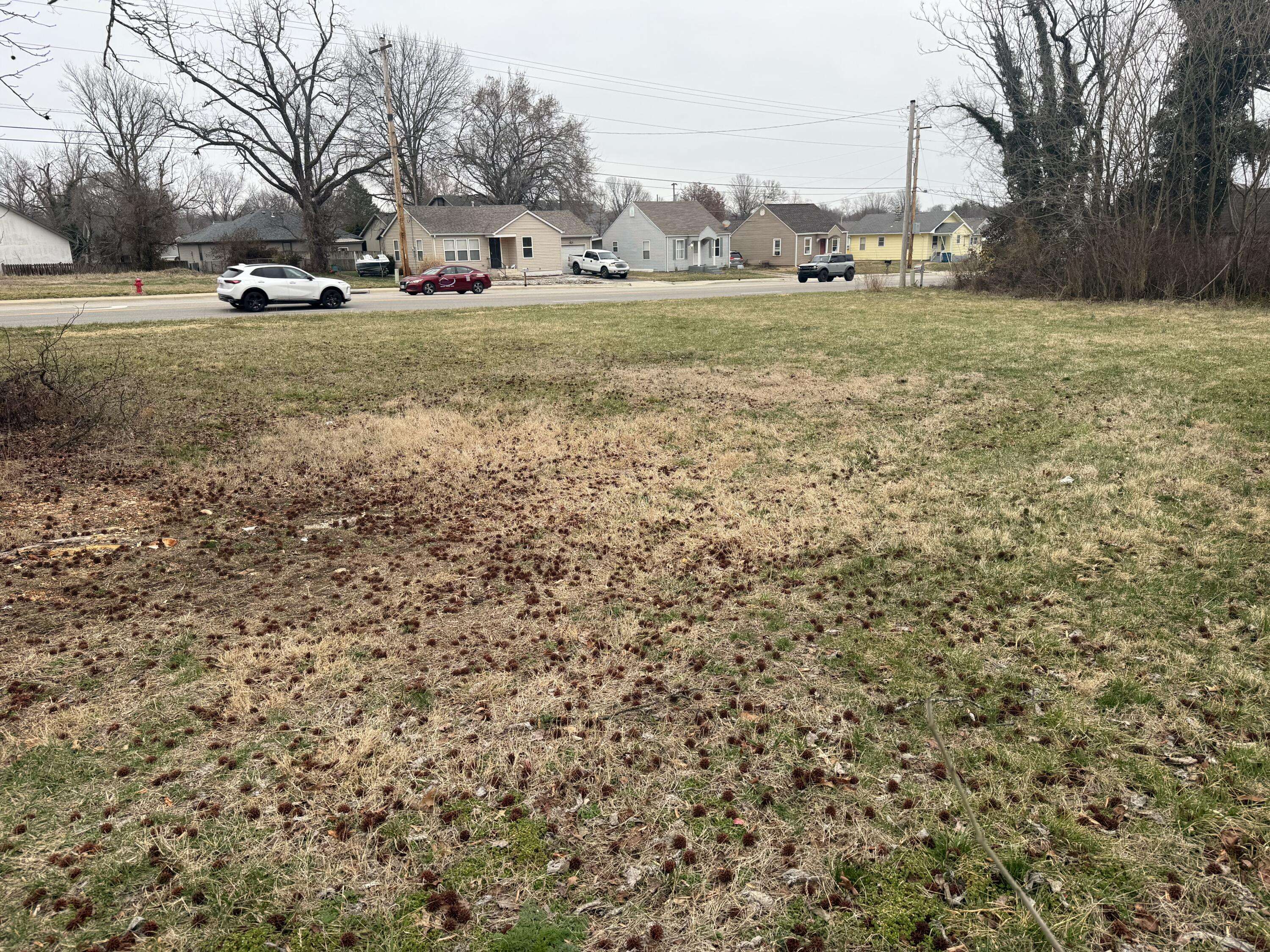 402 E Mount Vernon ST, Nixa, MO 65714