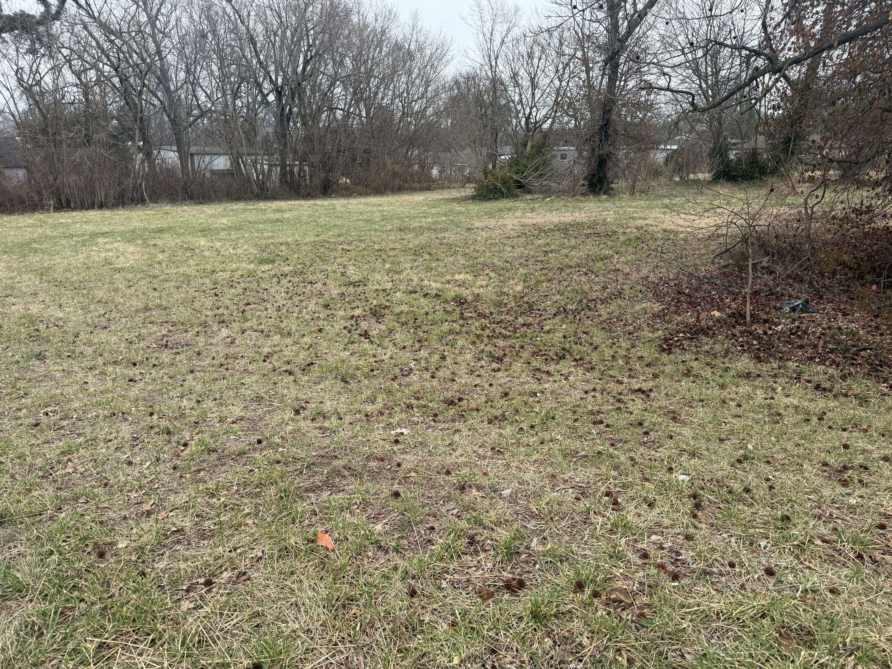 402 E Mount Vernon ST, Nixa, MO 65714