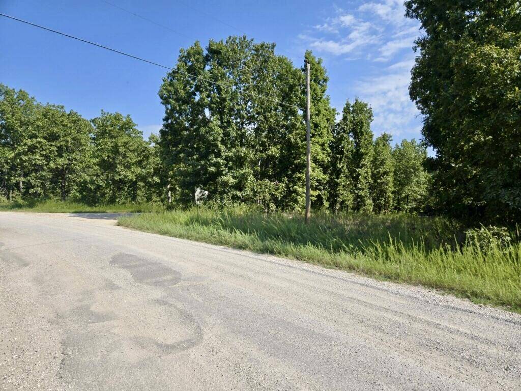 000 Lemon LN, Tunas, MO 65764