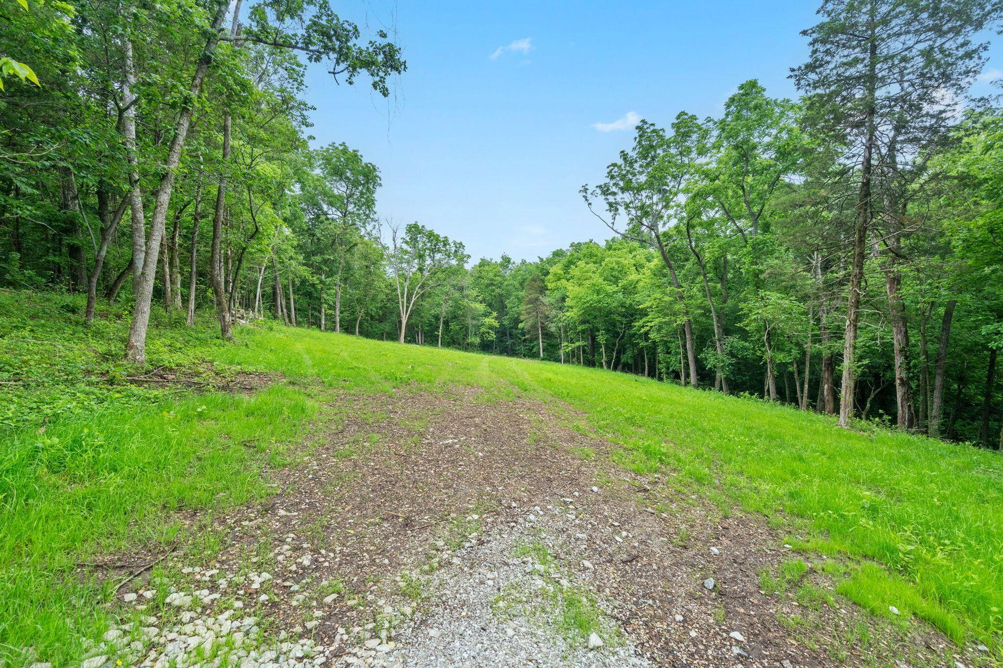 000 W Old Limey RD, Brookline, MO 65619