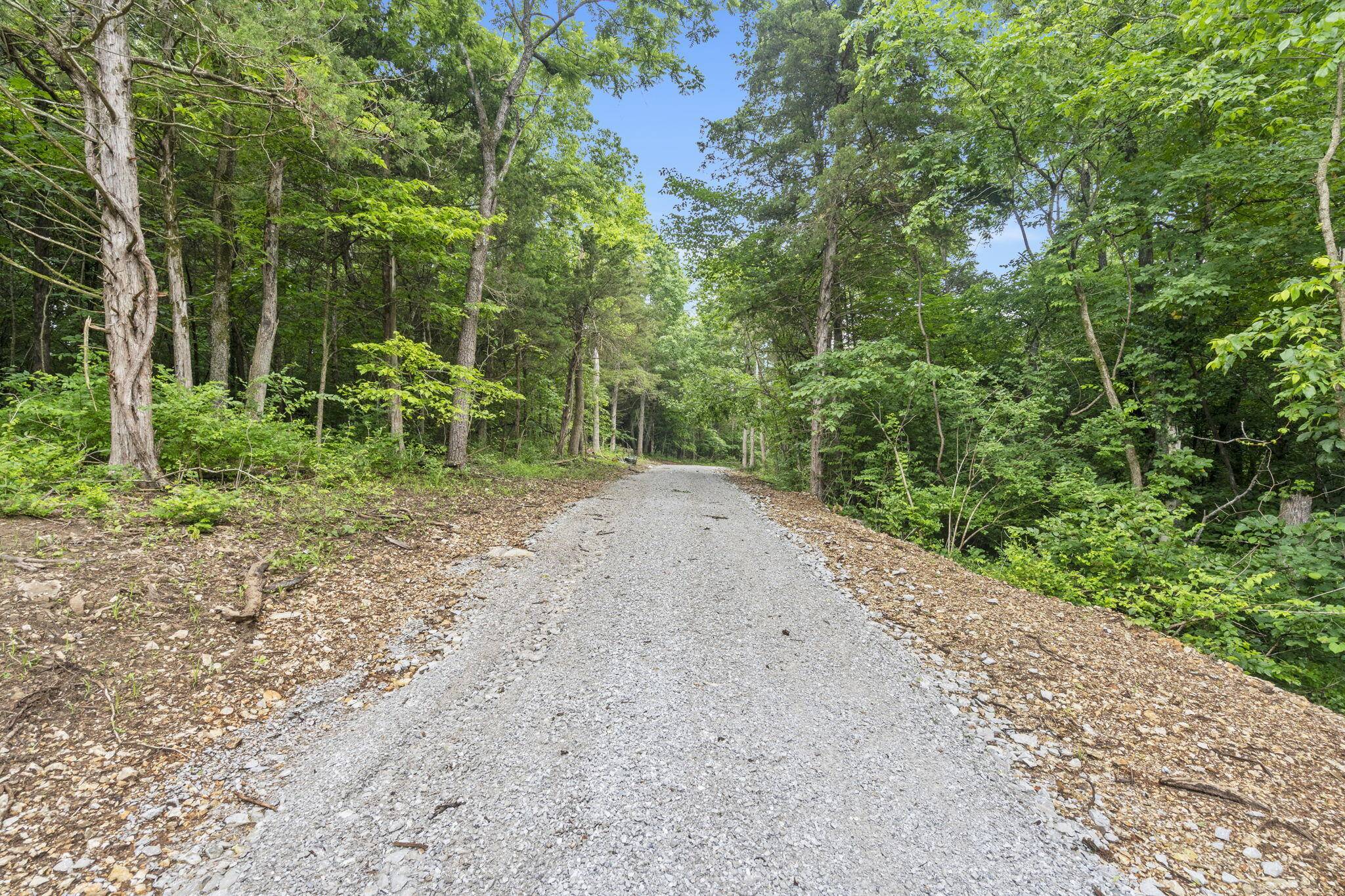 000 W Old Limey RD, Brookline, MO 65619