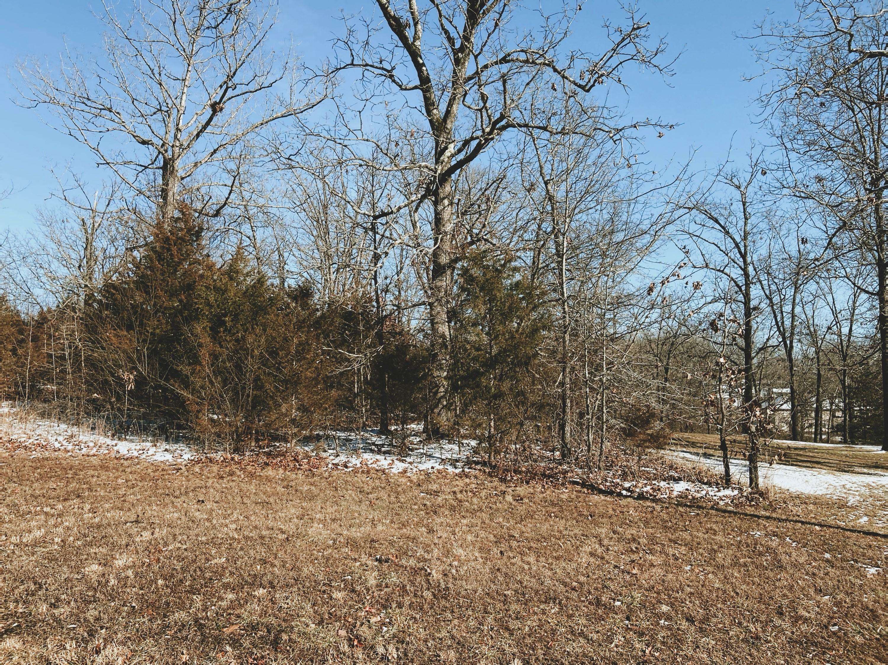 000 Rhonda Drive Lot 3, West Plains, MO 65775