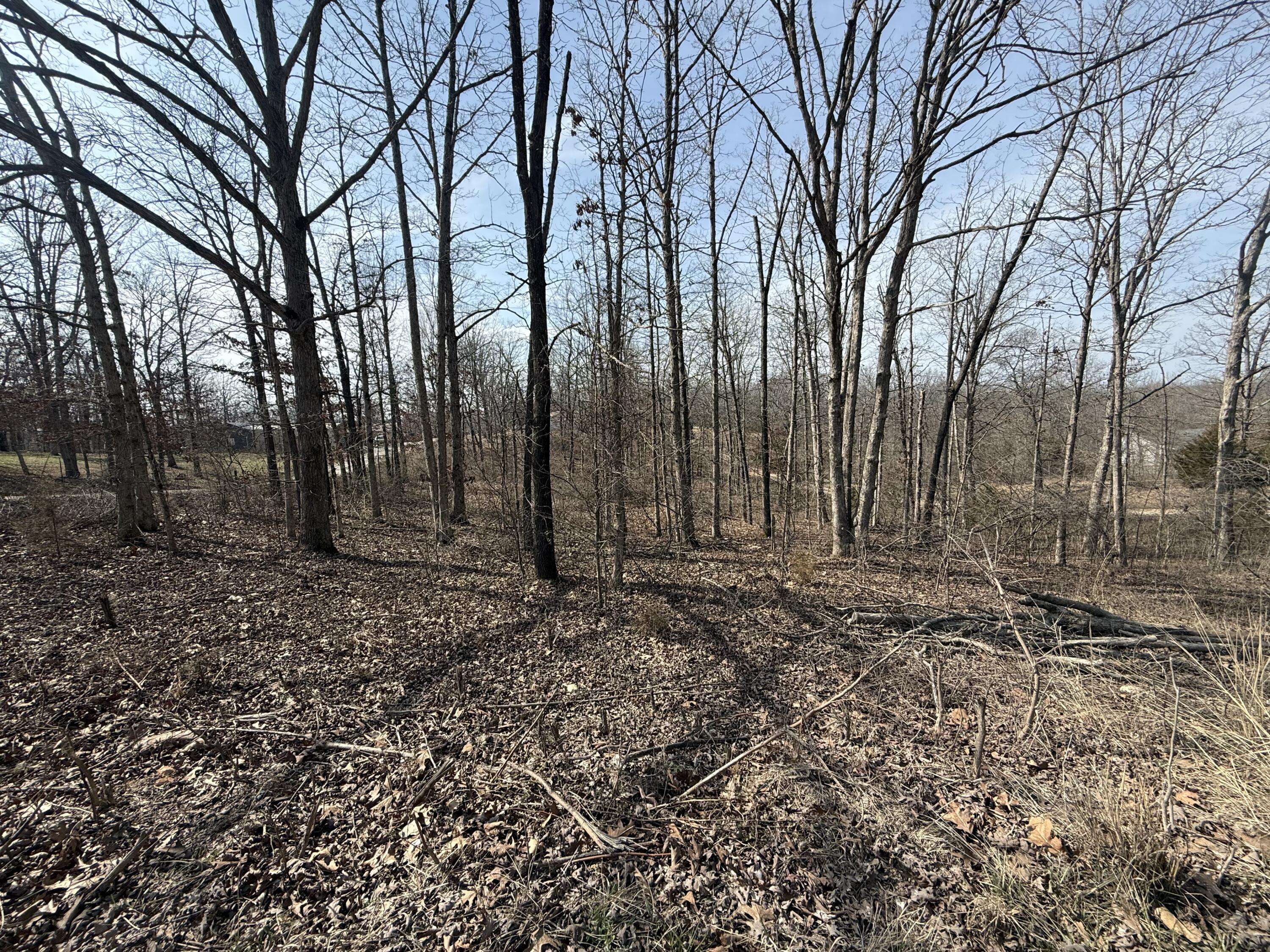 373 Private Road 2016, West Plains, MO 65775