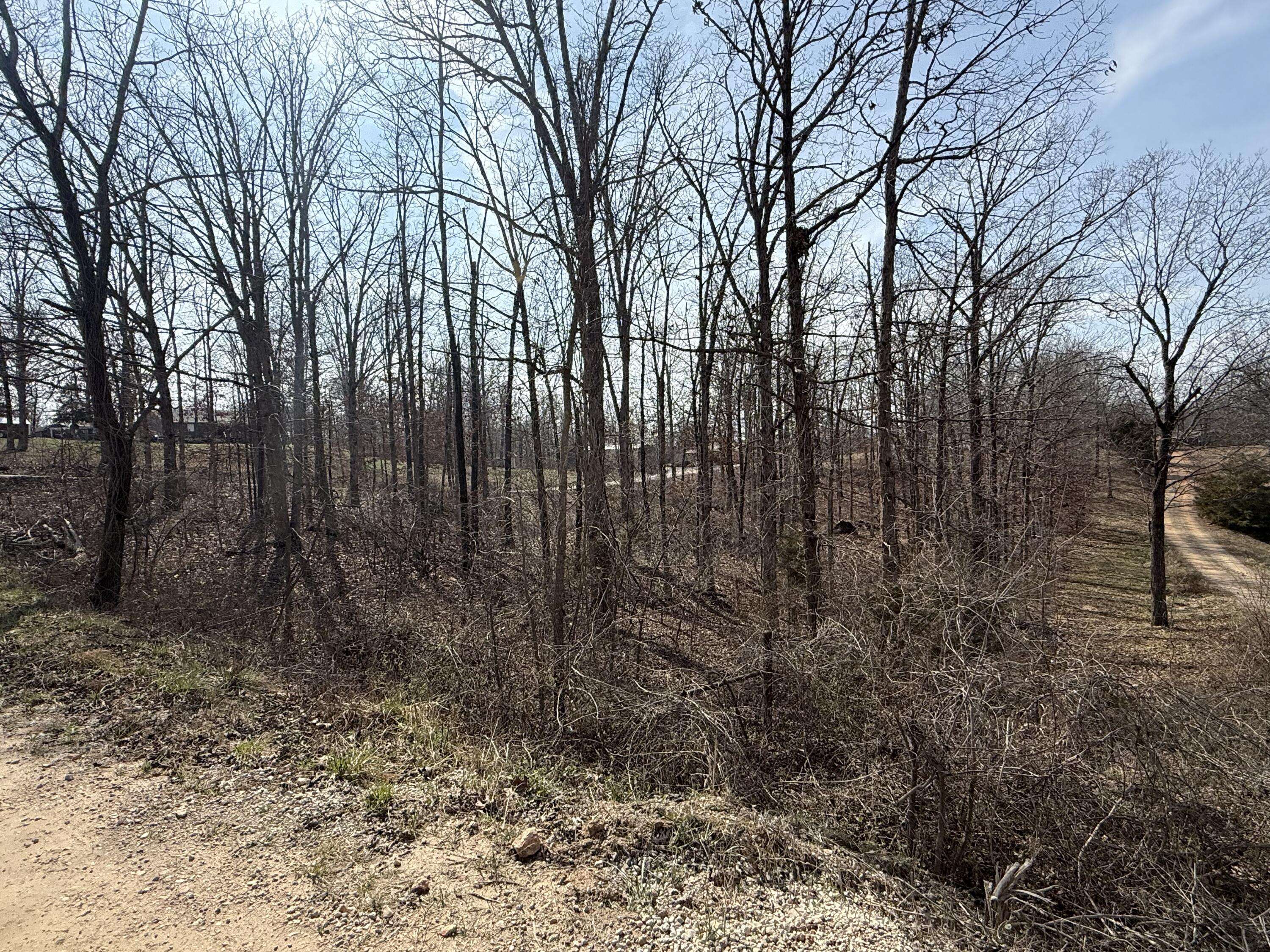 373 Private Road 2016, West Plains, MO 65775