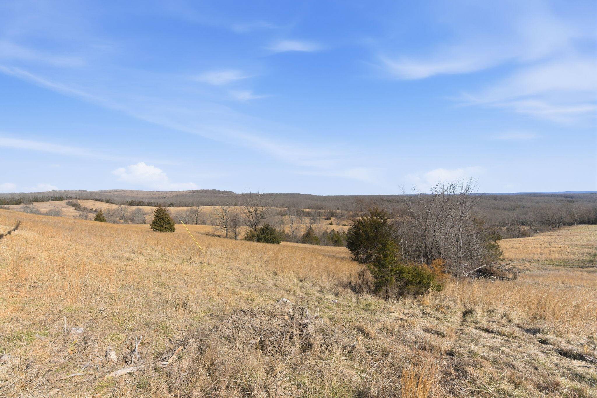 000 State Highway D Tract 1, Thornfield, MO 65762